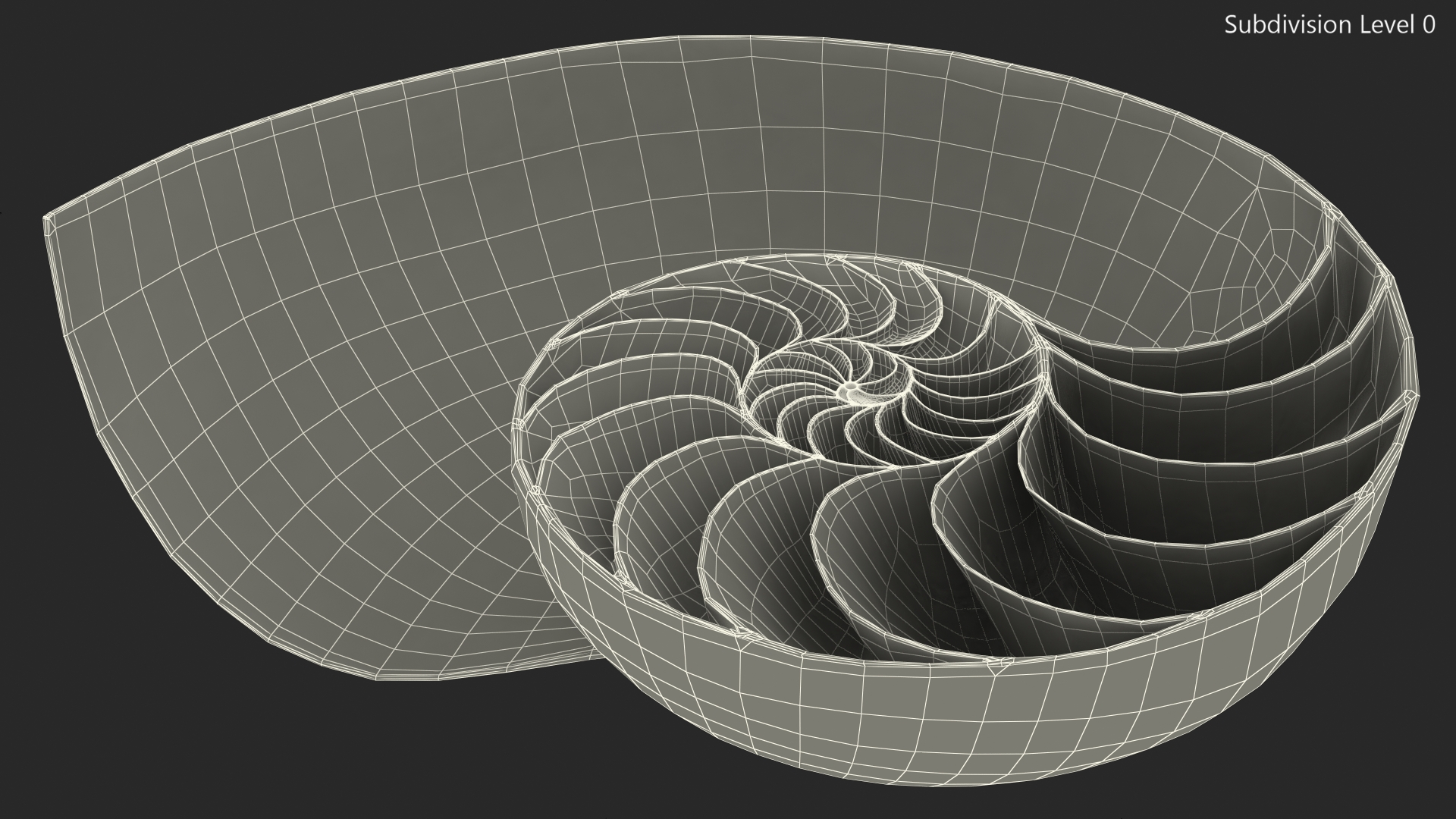 3D model Nautilus Shell Slice