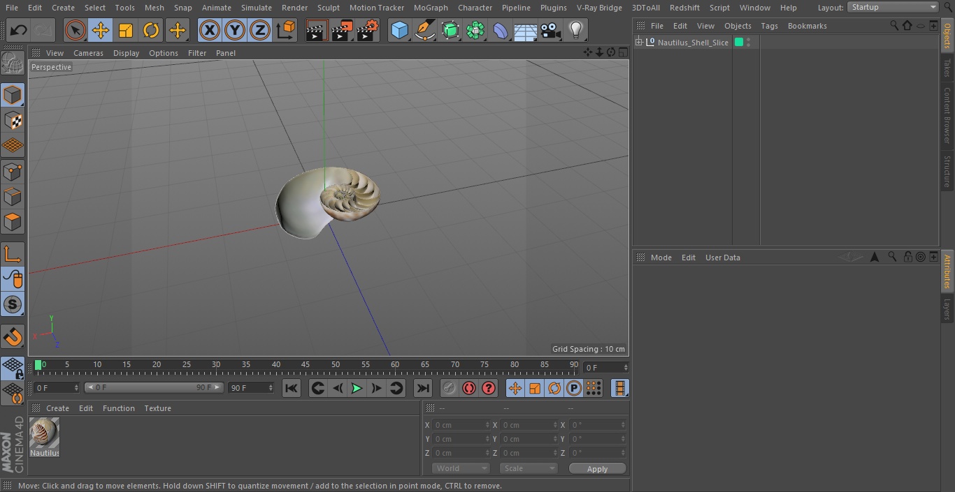 3D model Nautilus Shell Slice