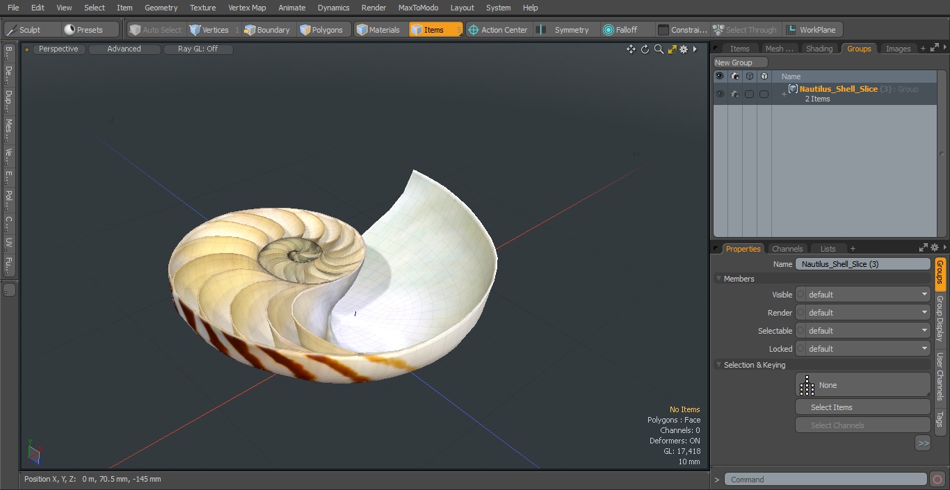 3D model Nautilus Shell Slice