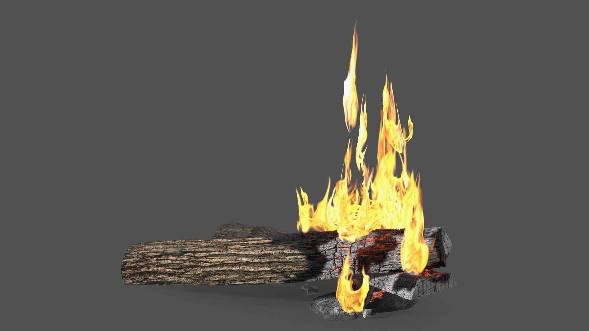 Burning Wooden Logs 3D model