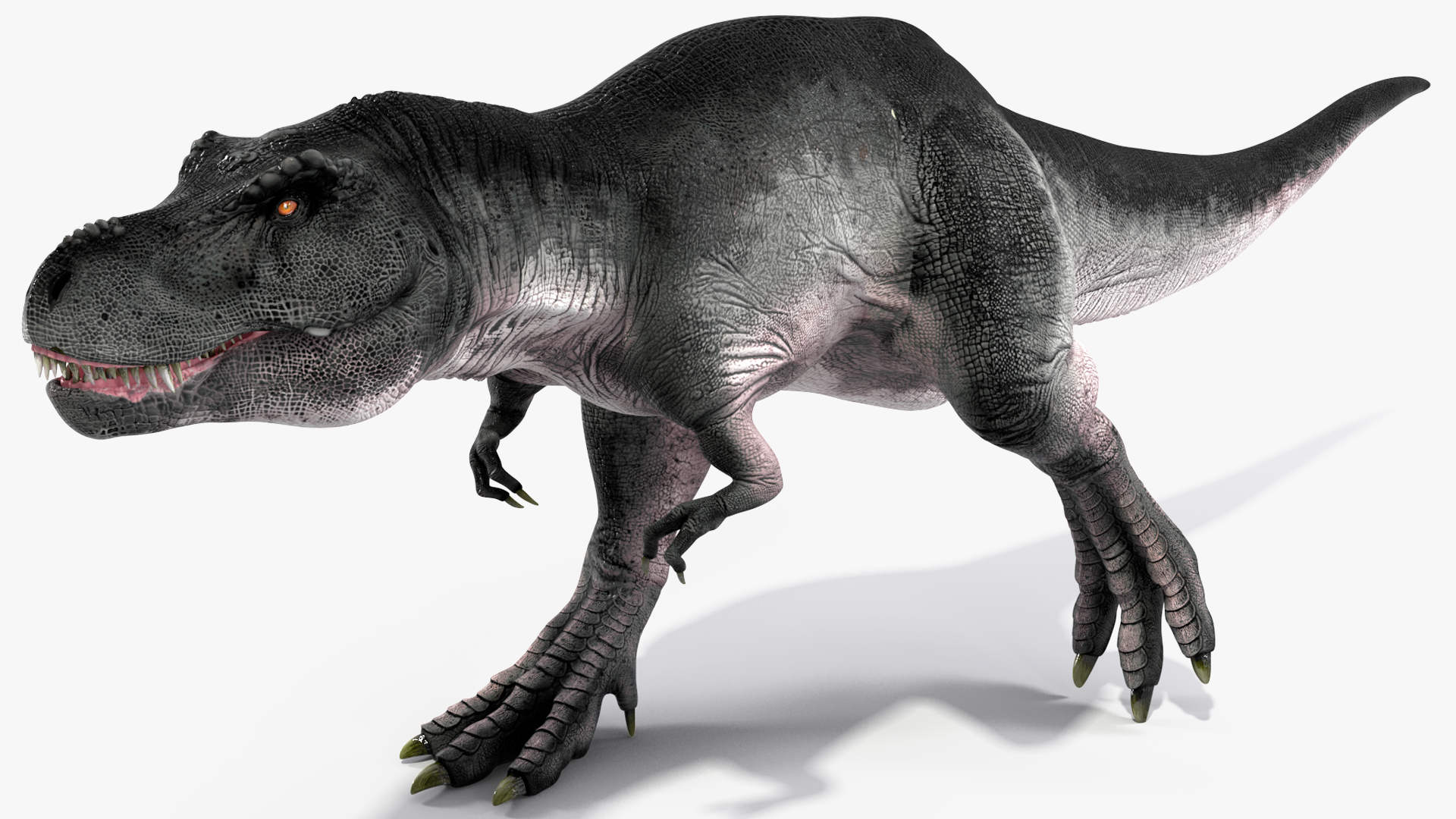 3D model T Rex Walk Pose