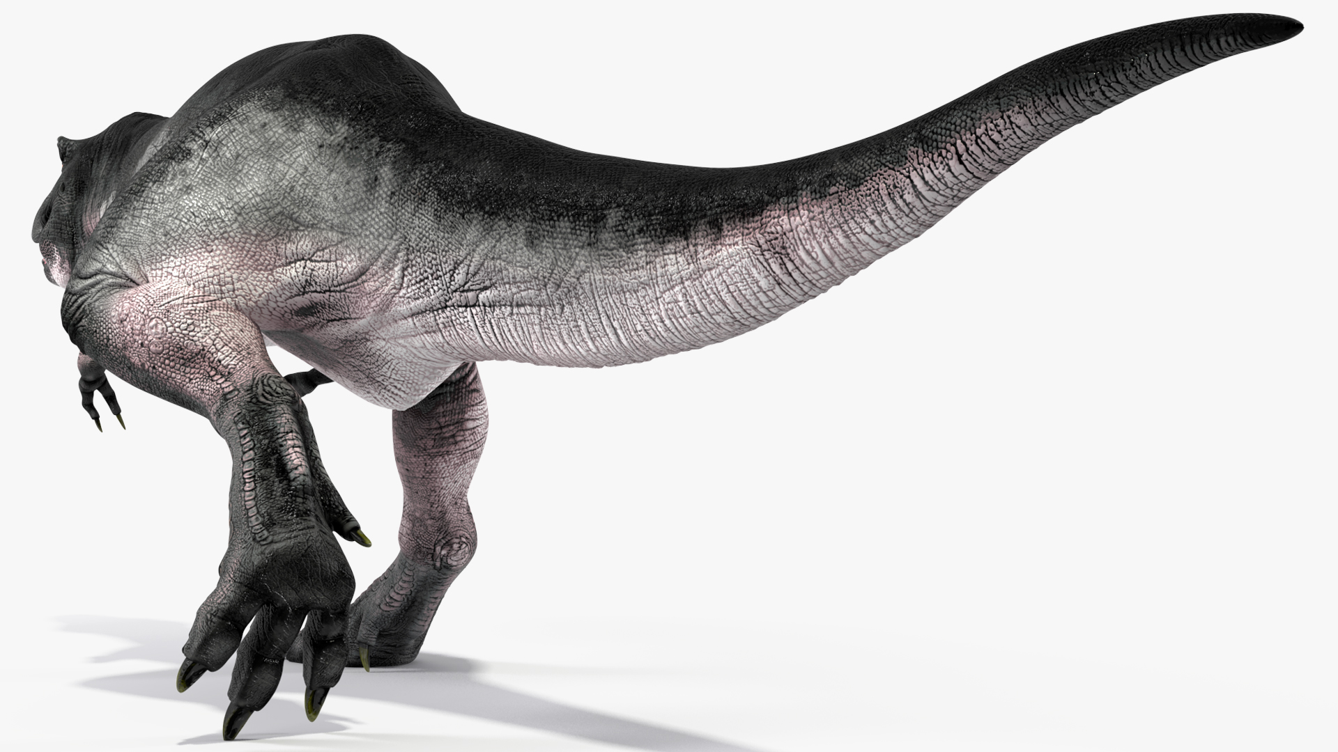 3D model T Rex Walk Pose