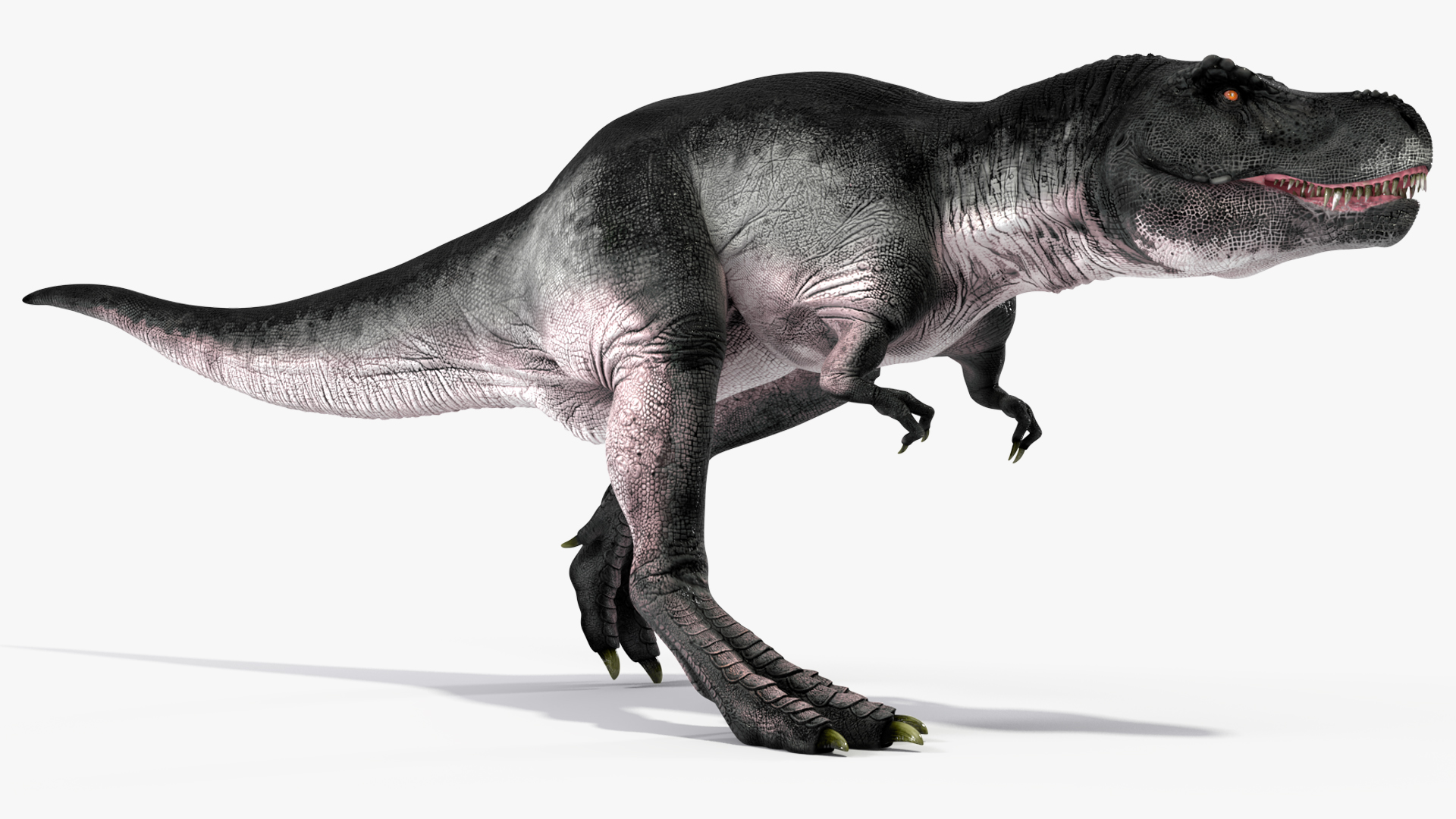 3D model T Rex Walk Pose