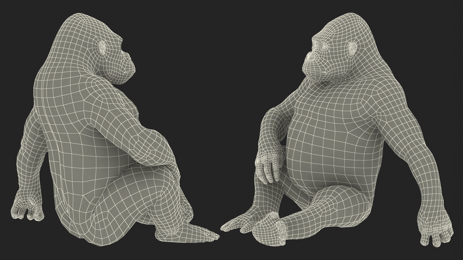 3D Gorilla Western Lowland Sitting Pose