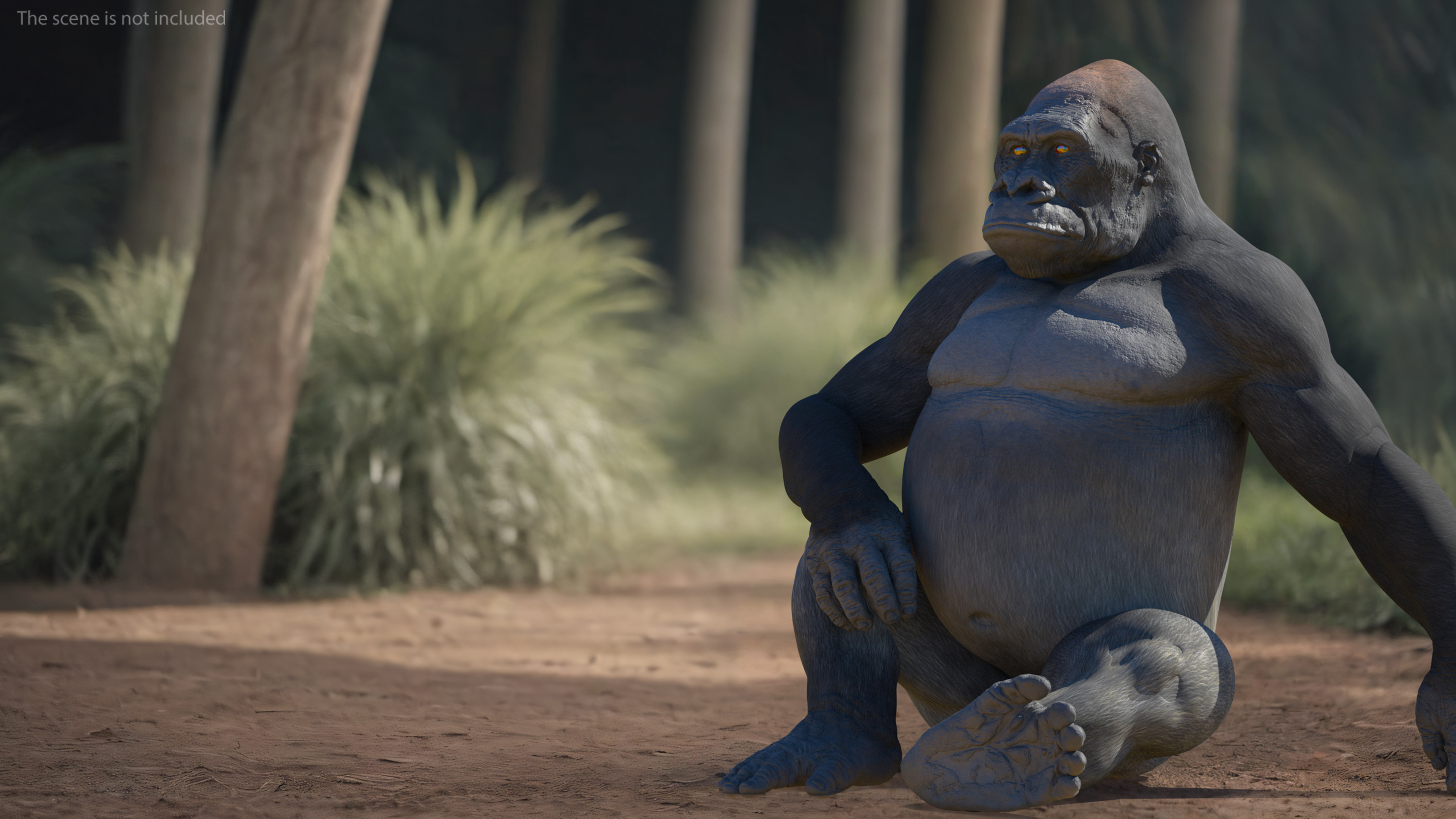 3D Gorilla Western Lowland Sitting Pose