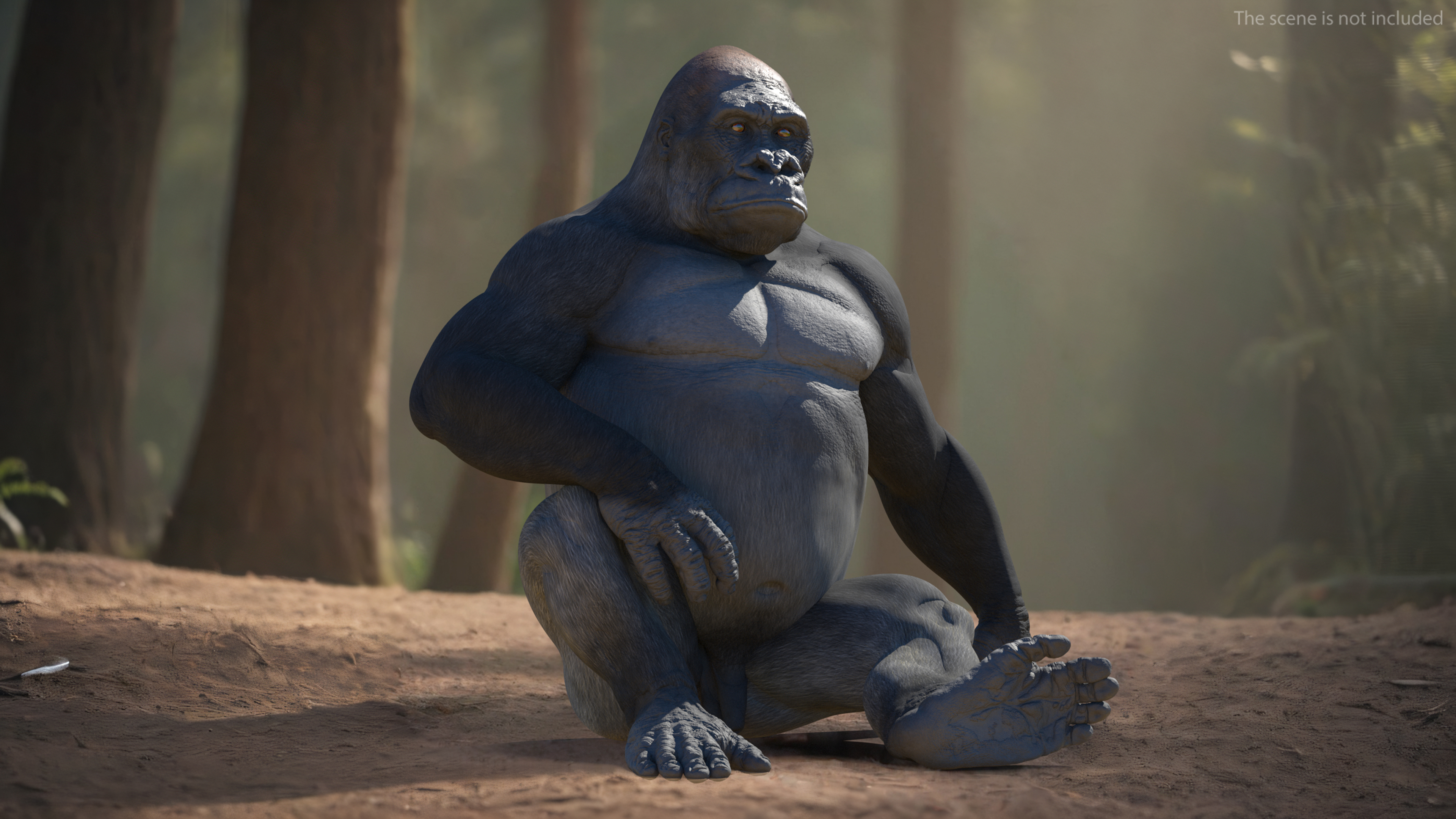 3D Gorilla Western Lowland Sitting Pose