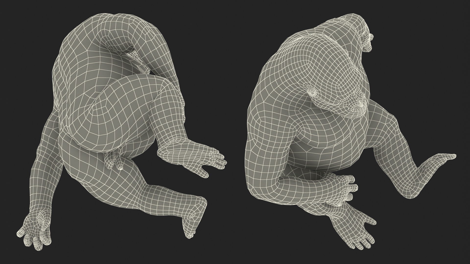 3D Gorilla Western Lowland Sitting Pose