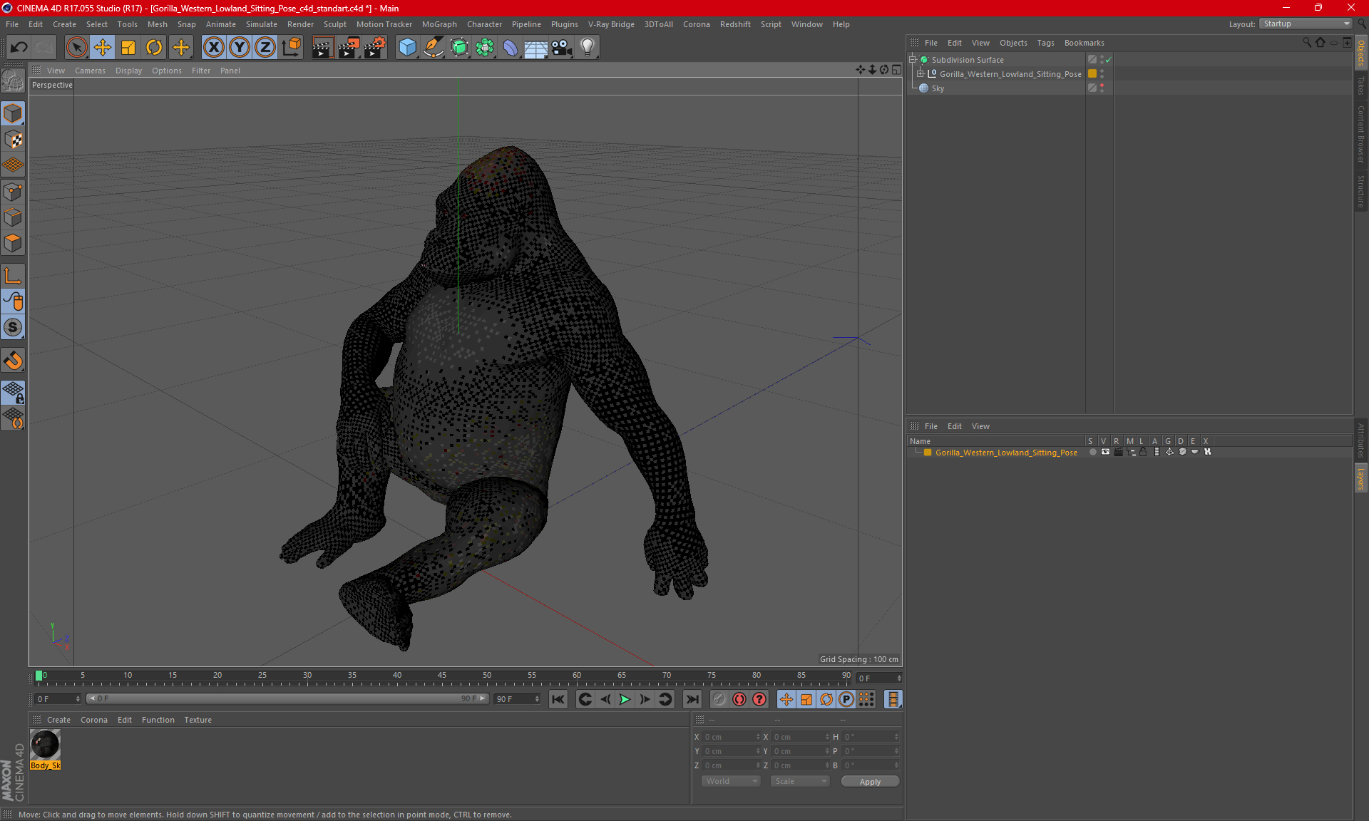 3D Gorilla Western Lowland Sitting Pose