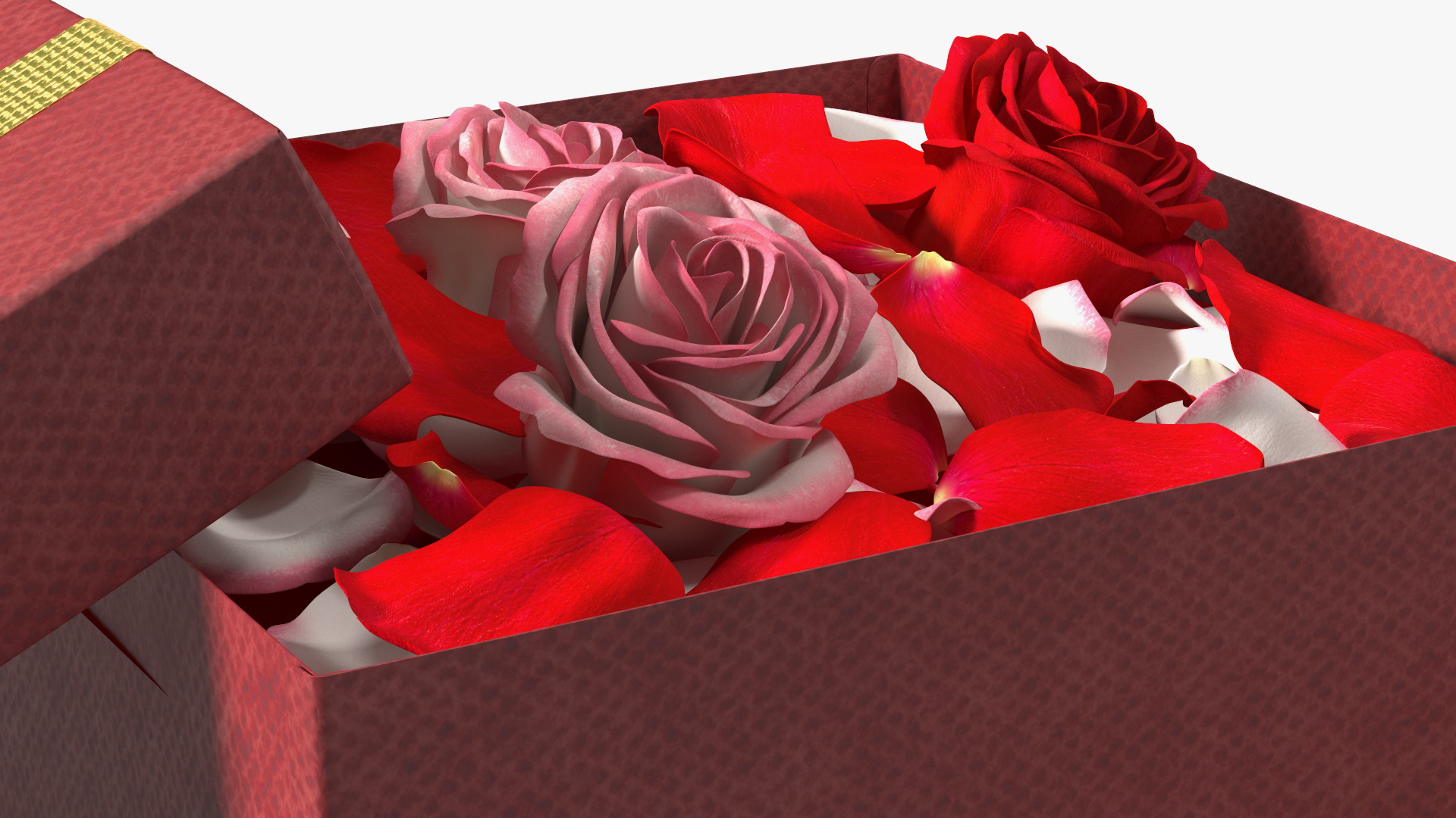 3D model Box With Rose Petals