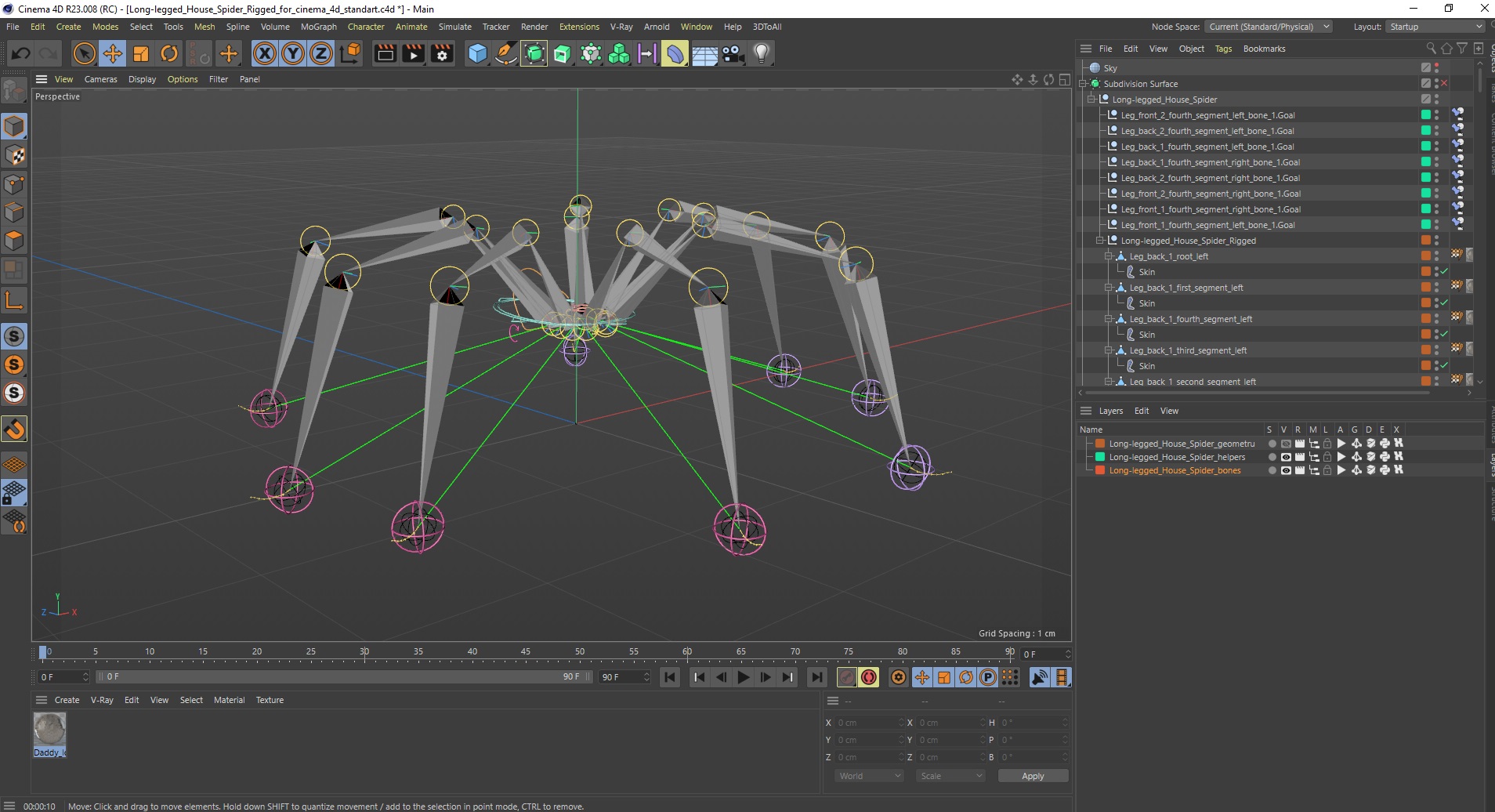 3D model Long-legged House Spider Rigged for Cinema 4D