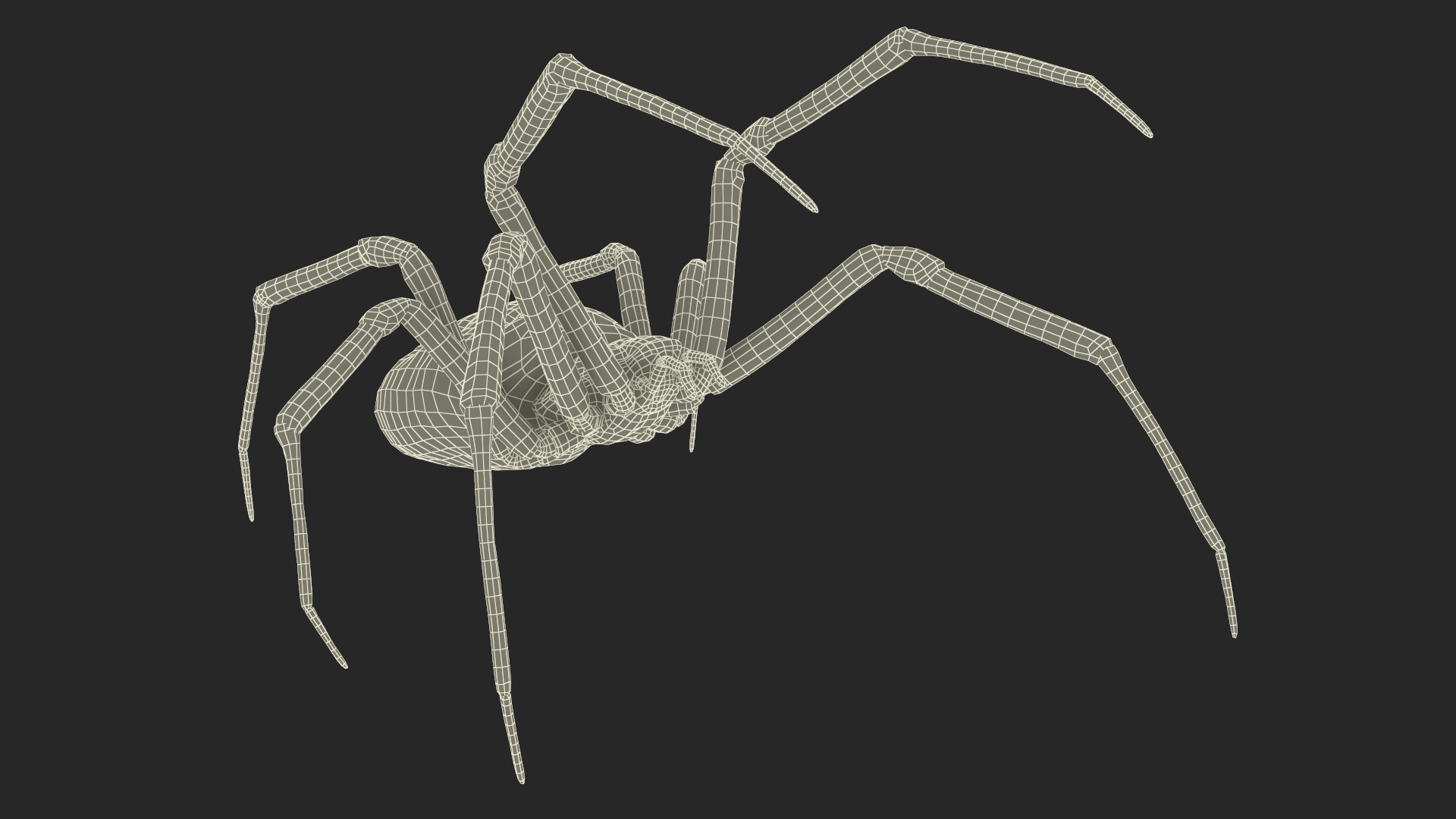 3D Argiope Trifasciata Spider Rigged model