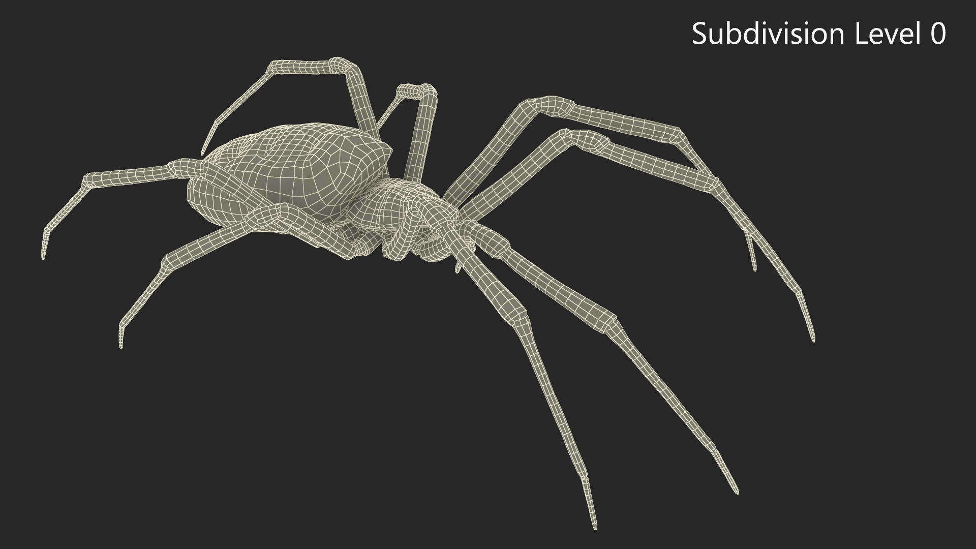 3D Argiope Trifasciata Spider Rigged model