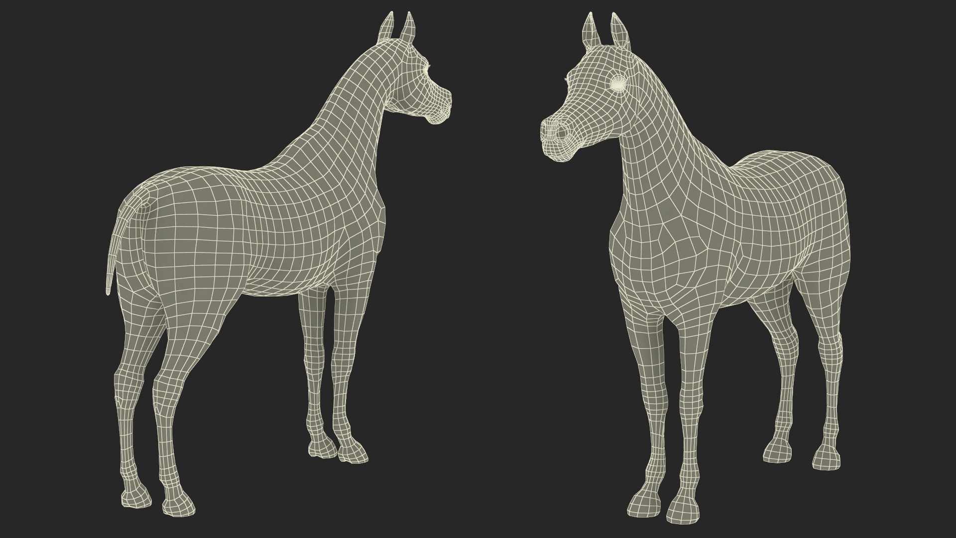 3D model Arabian Horse Black Fur Rigged