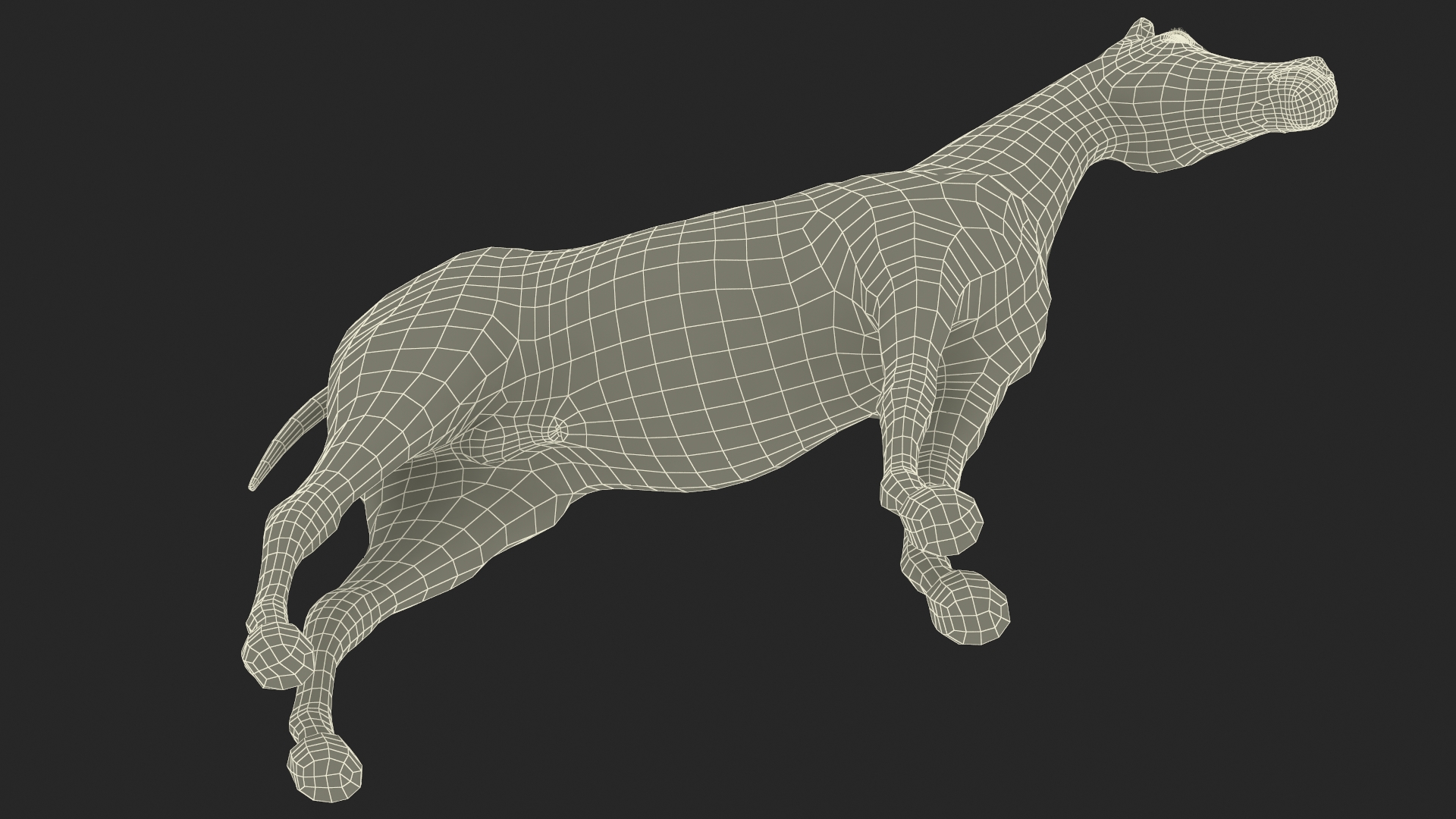 3D model Arabian Horse Black Fur Rigged