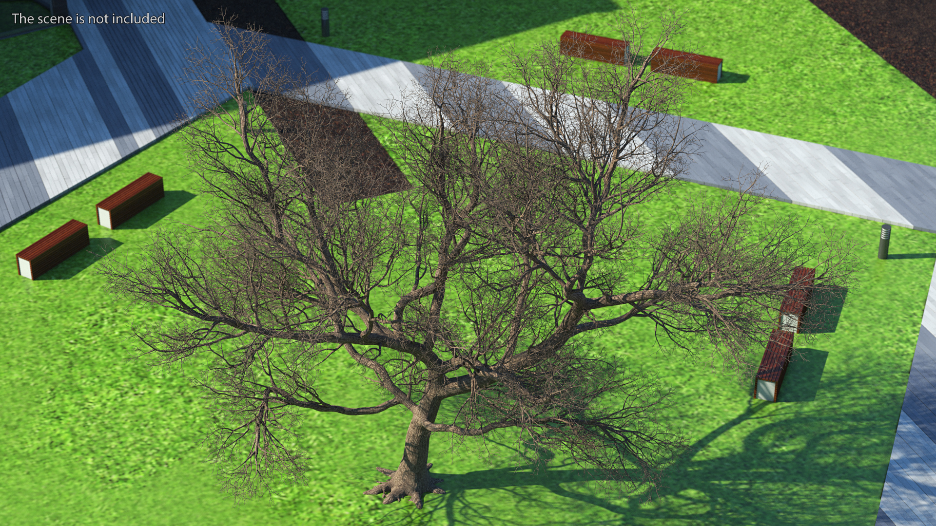 3D Big Bare Tree model