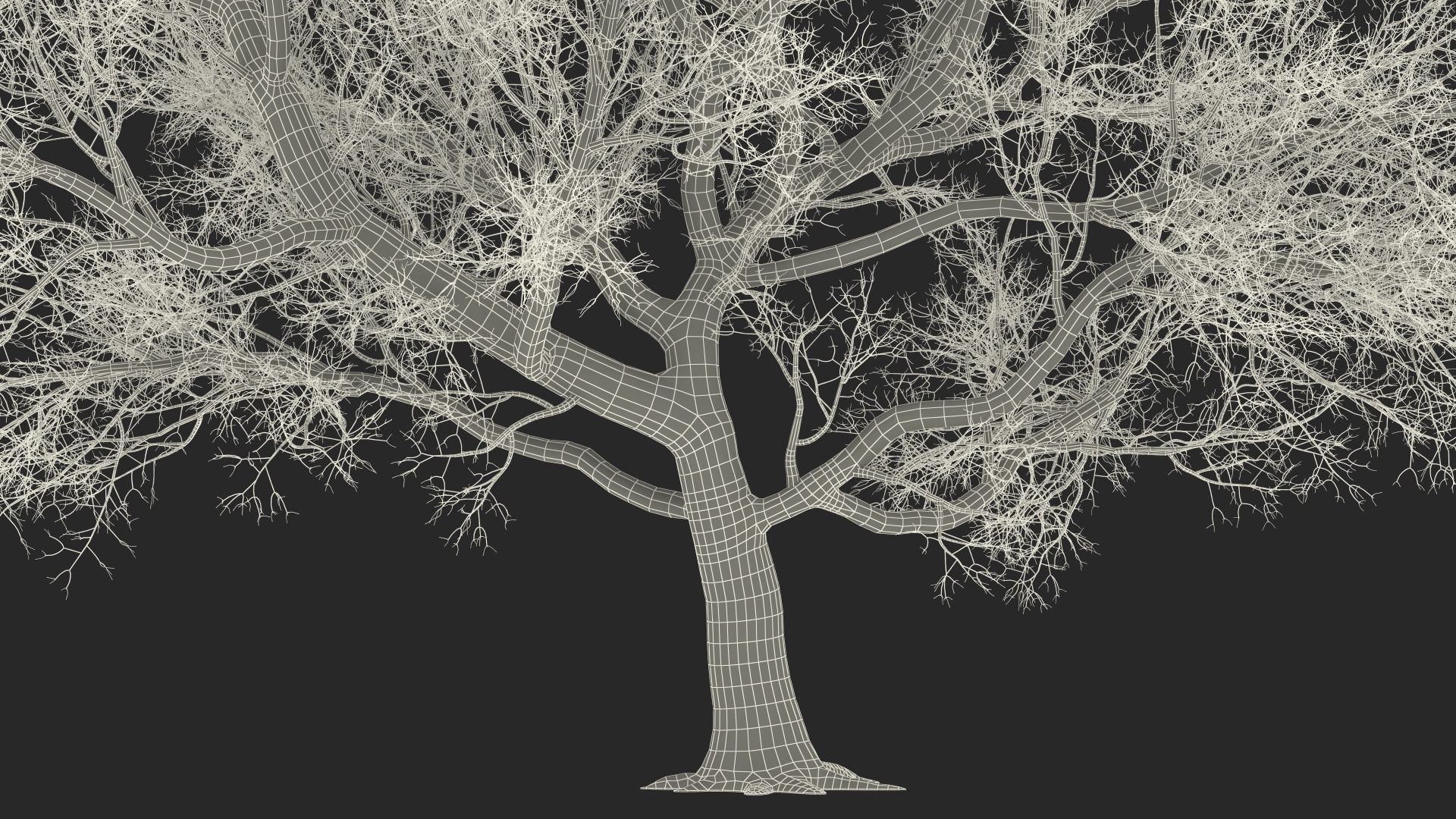 3D Big Bare Tree model