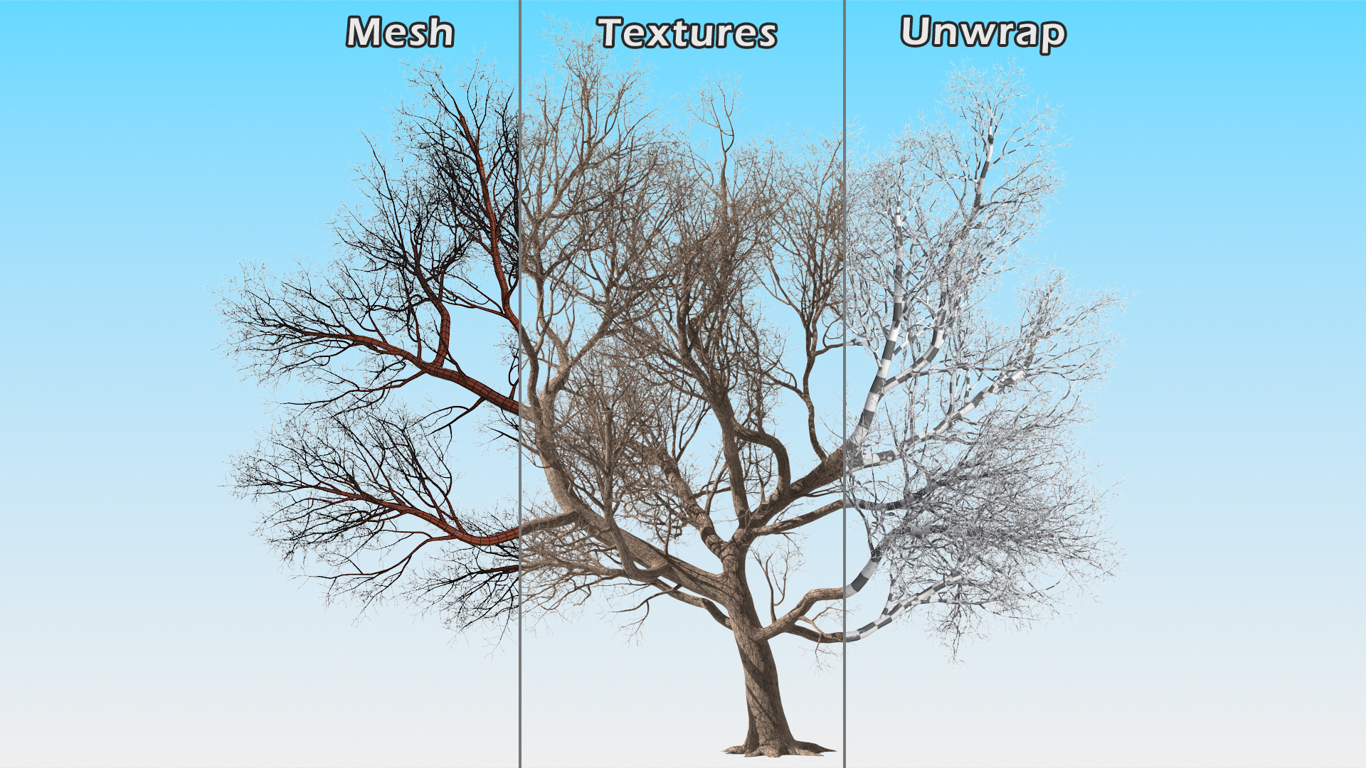 3D Big Bare Tree model