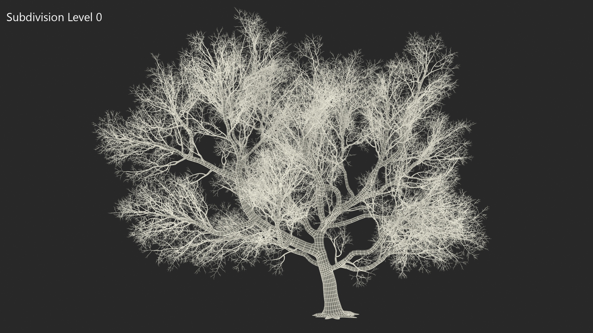 3D Big Bare Tree model