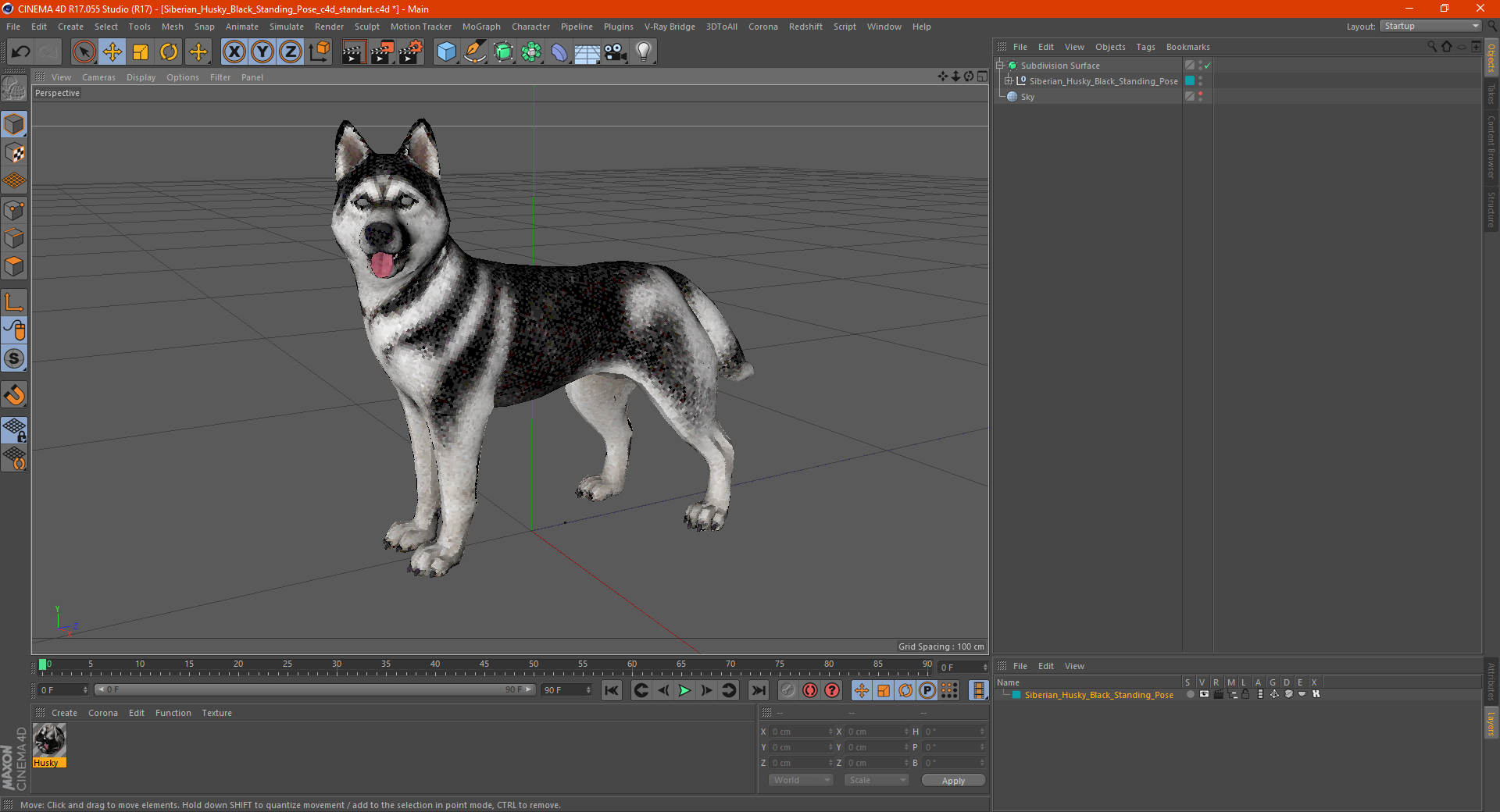 Siberian Husky Black Standing Pose 3D model