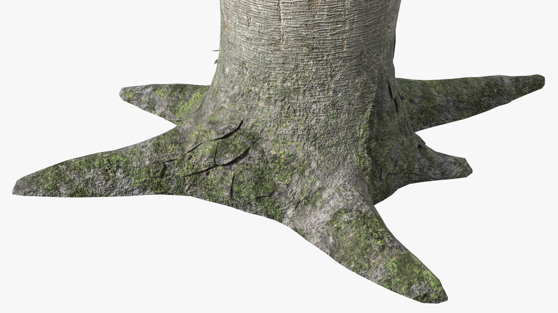 3D Dragon Blood Tree Trunk model