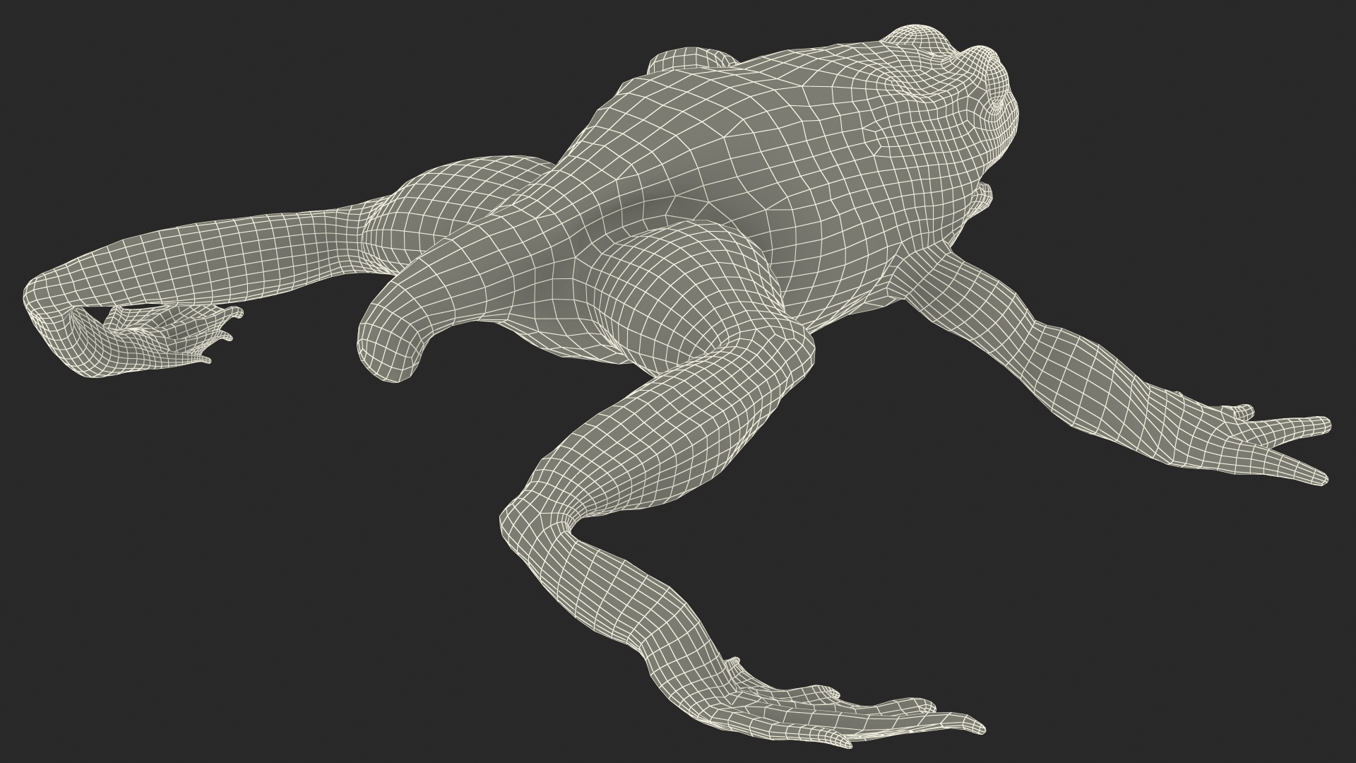 Froglet Rigged 3D model