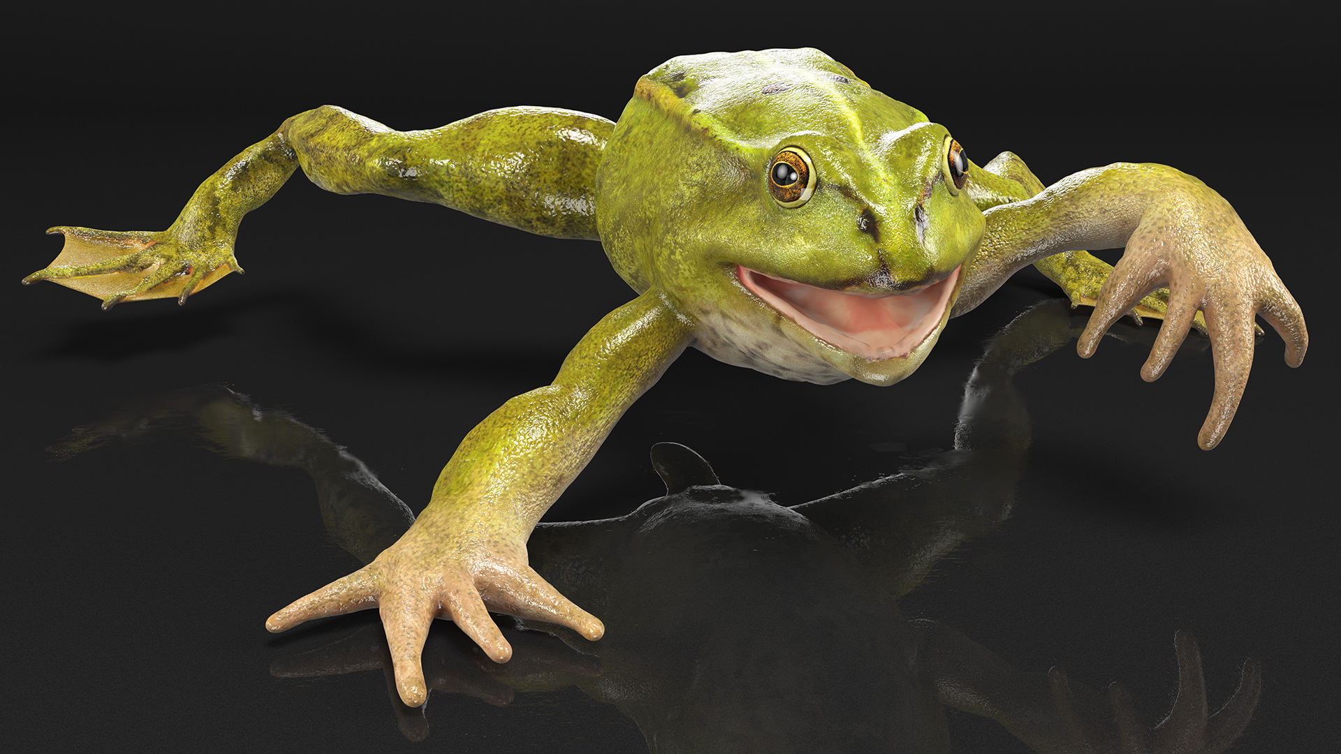 Froglet Rigged 3D model