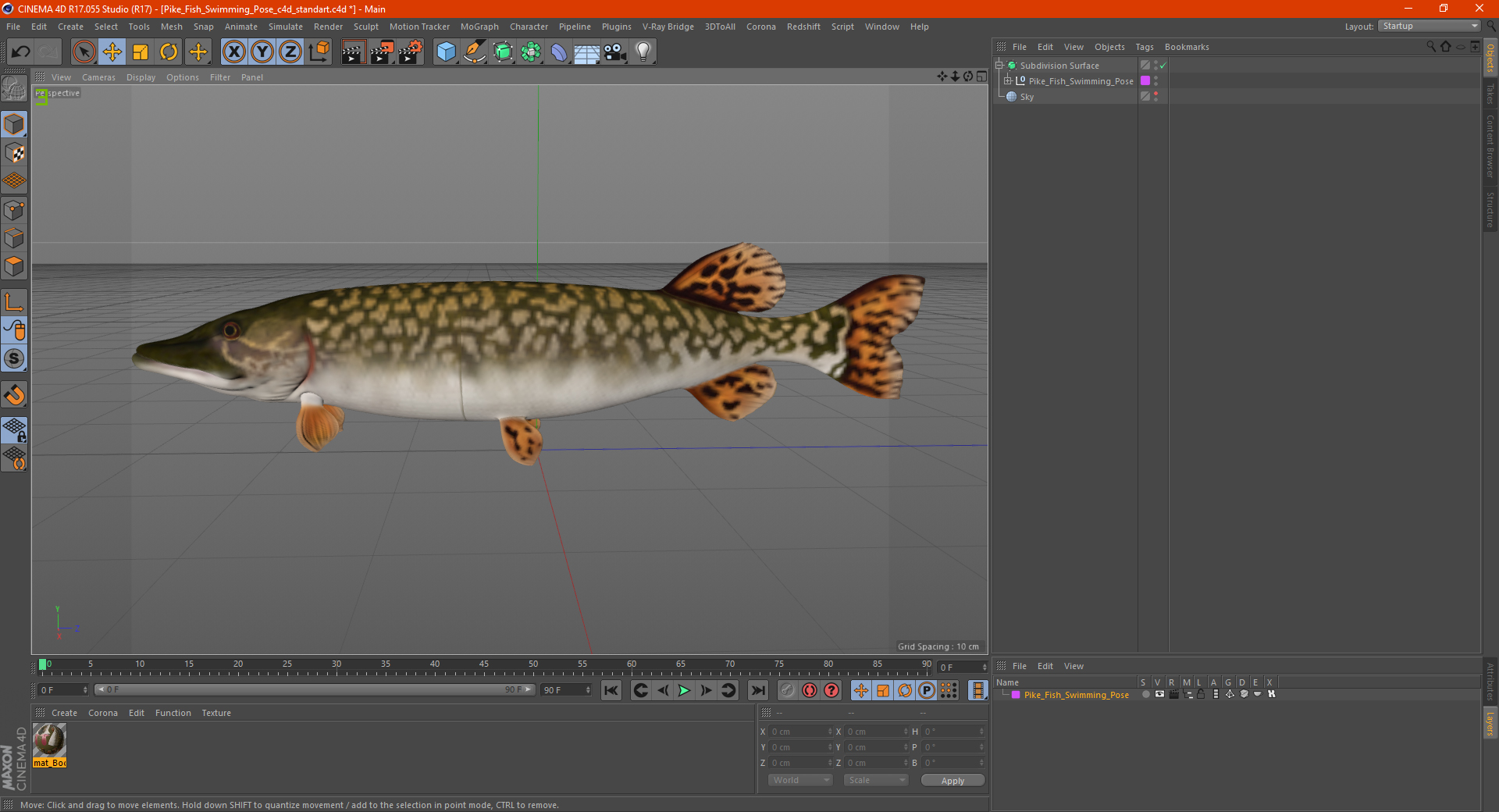 3D Pike Fish Swimming Pose model