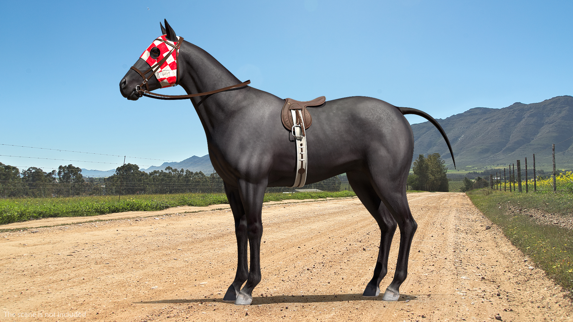 3D model Racehorse Black