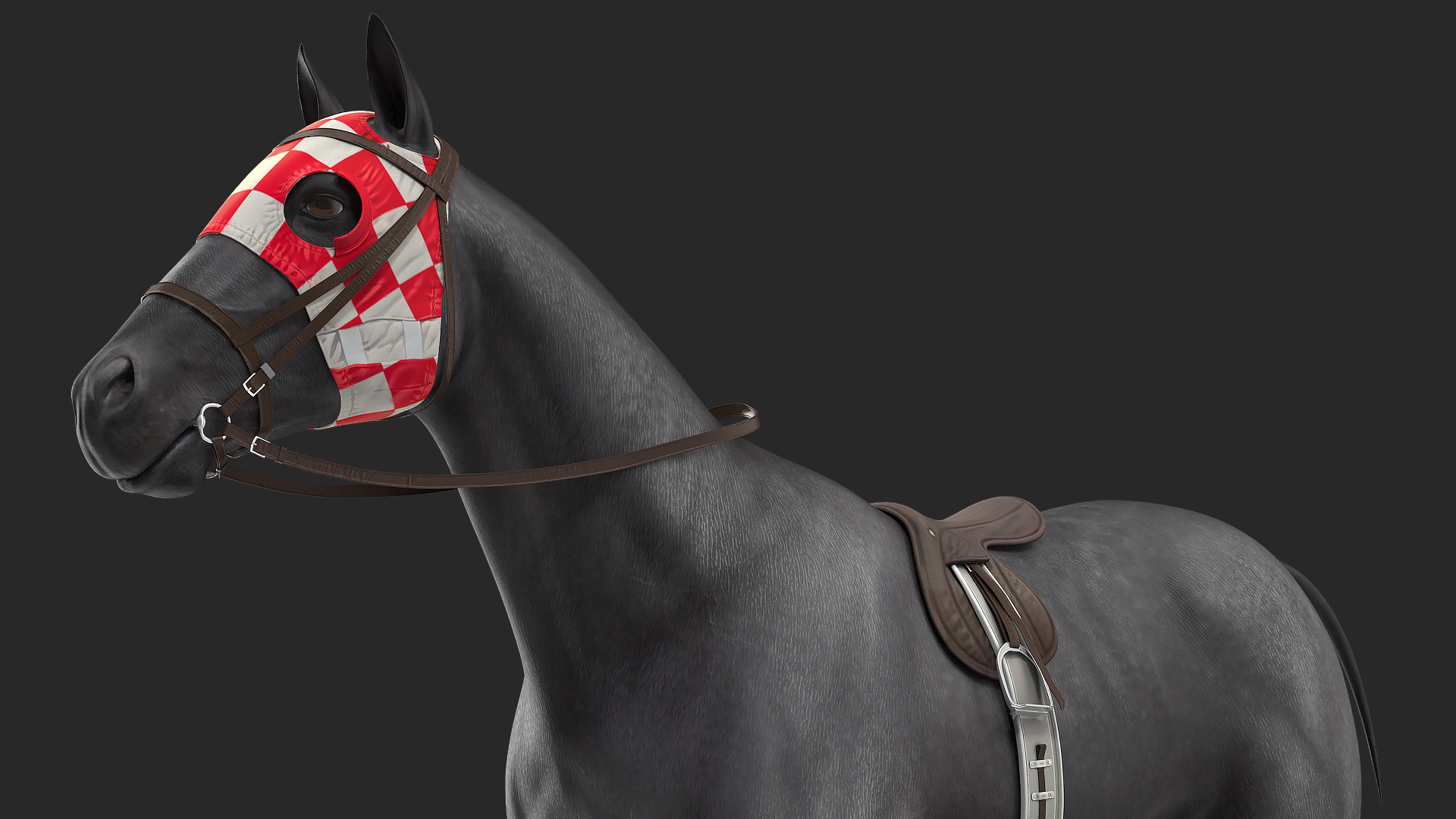 3D model Racehorse Black