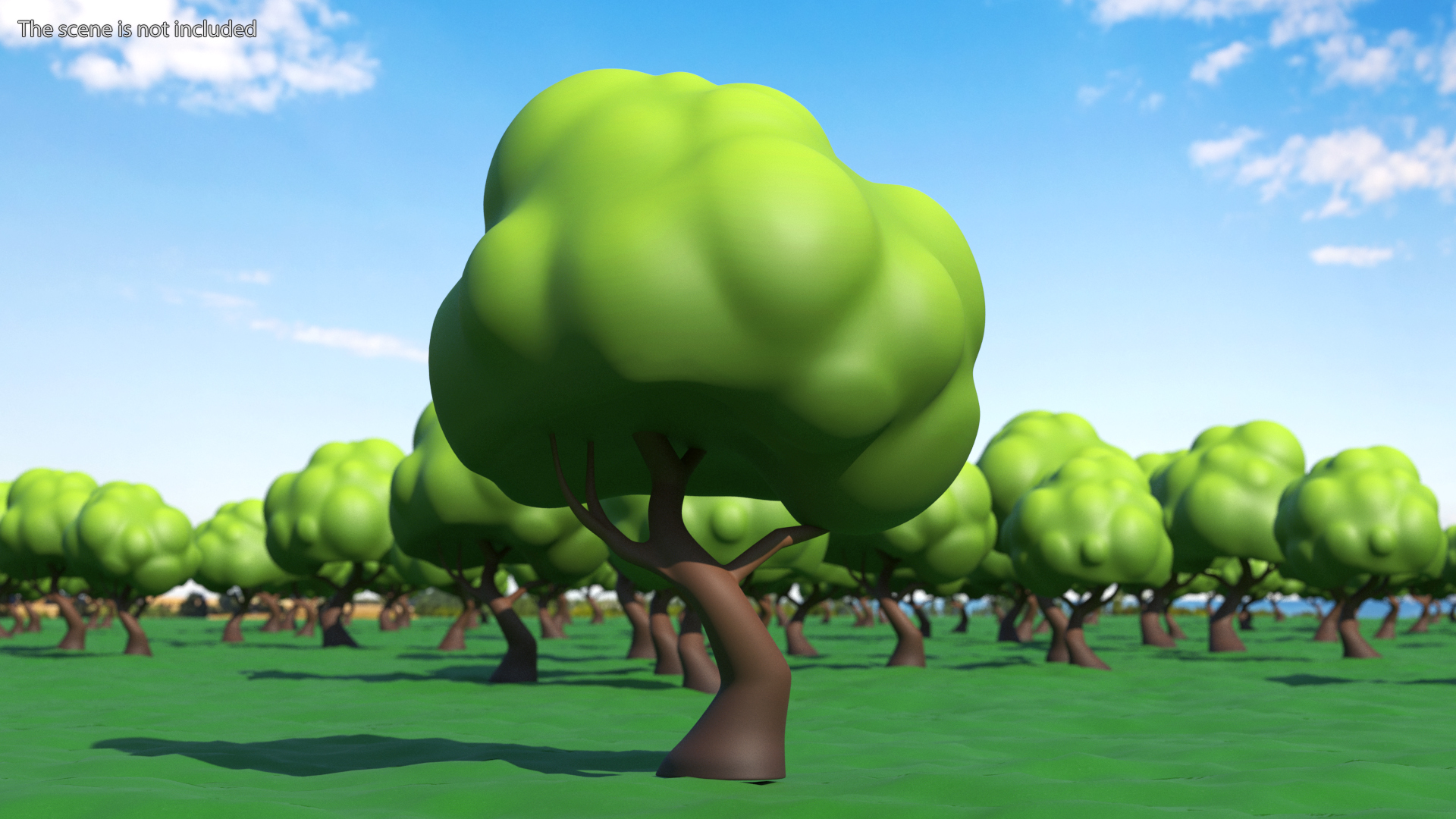 Cartoon Maple Tree Simple Coloring 3D model