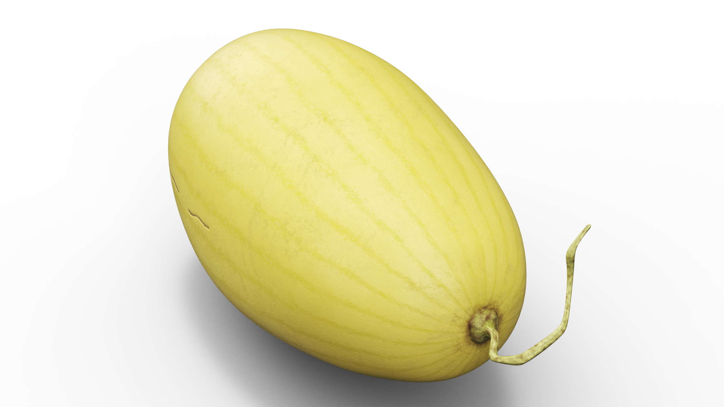 Yellow Skin Watermelon 3D