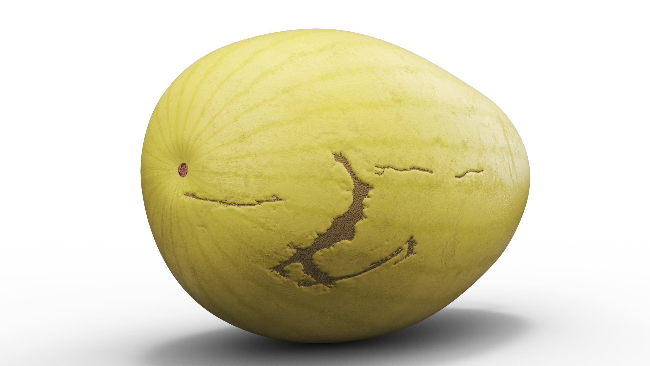 Yellow Skin Watermelon 3D