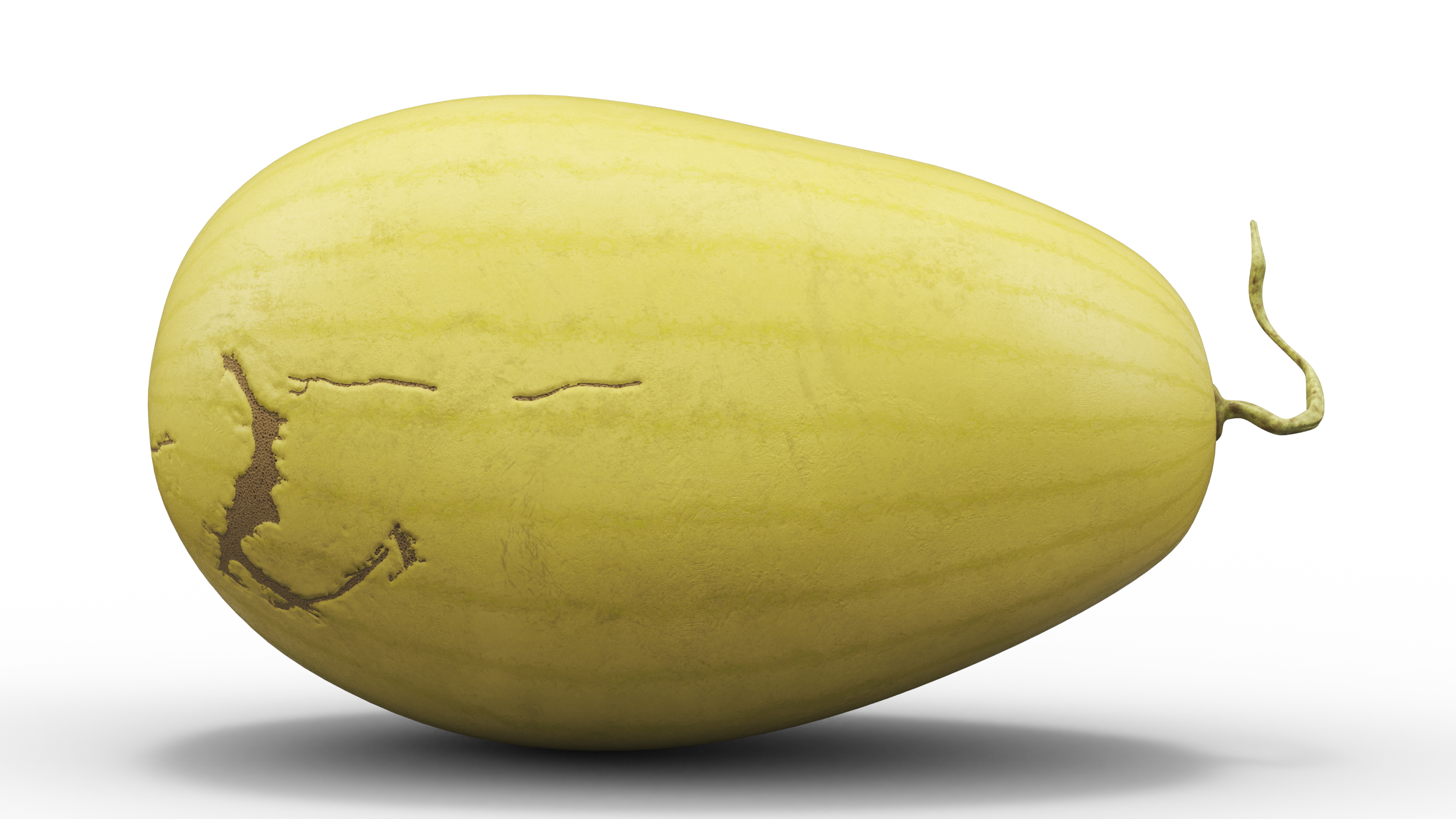 Yellow Skin Watermelon 3D