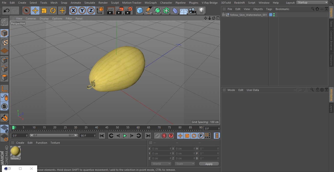 Yellow Skin Watermelon 3D