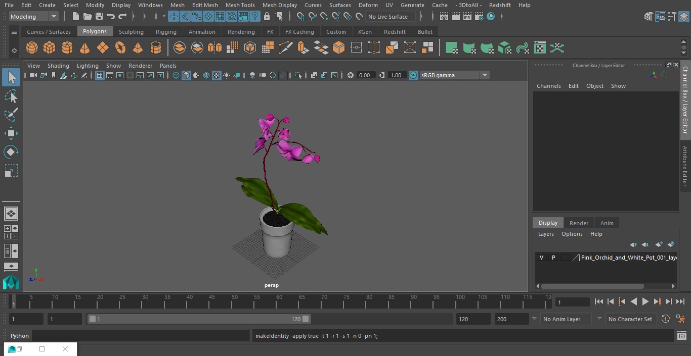 3D model Pink Orchid and White Pot