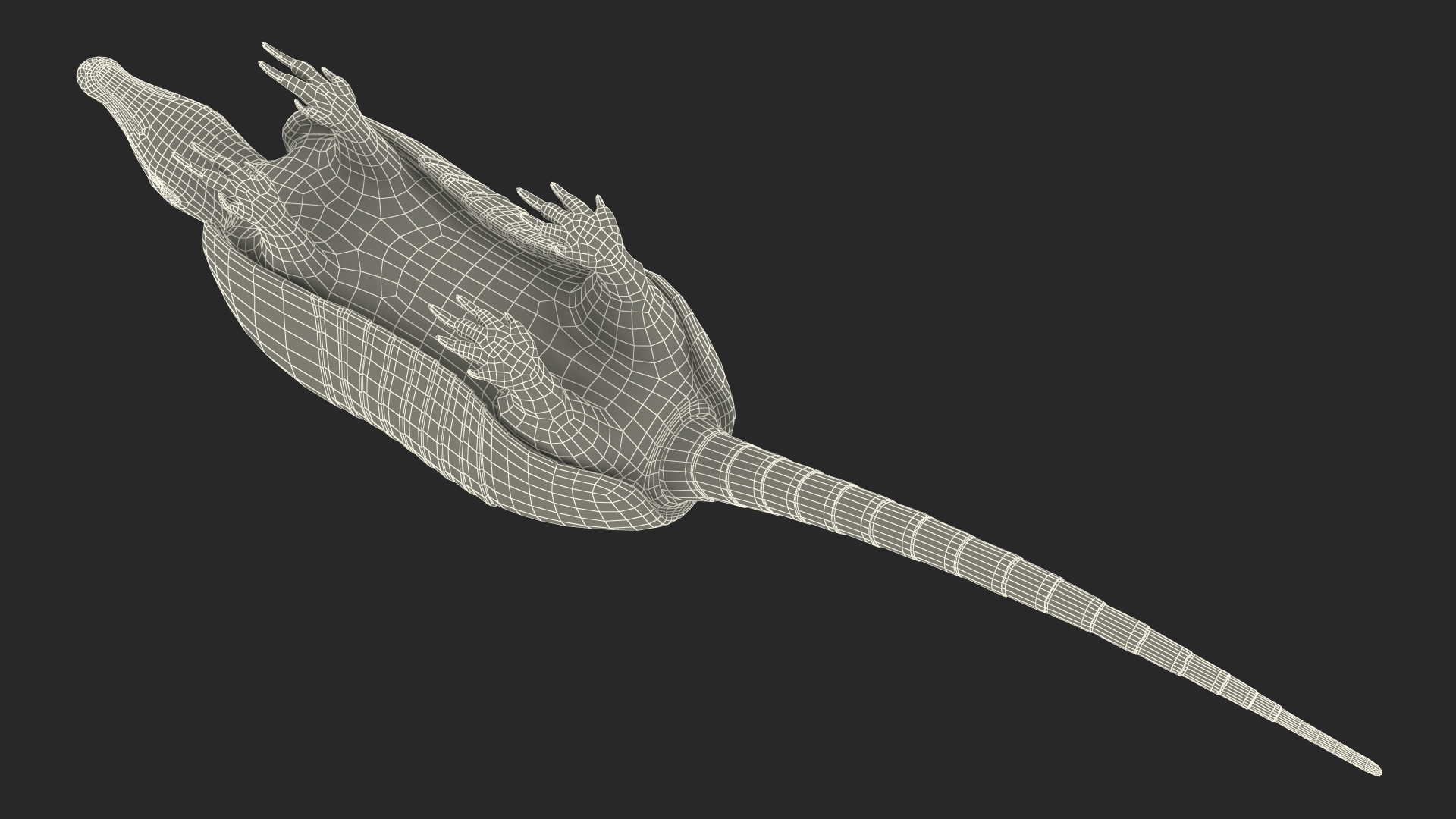 Armadillo Black Fur 3D model