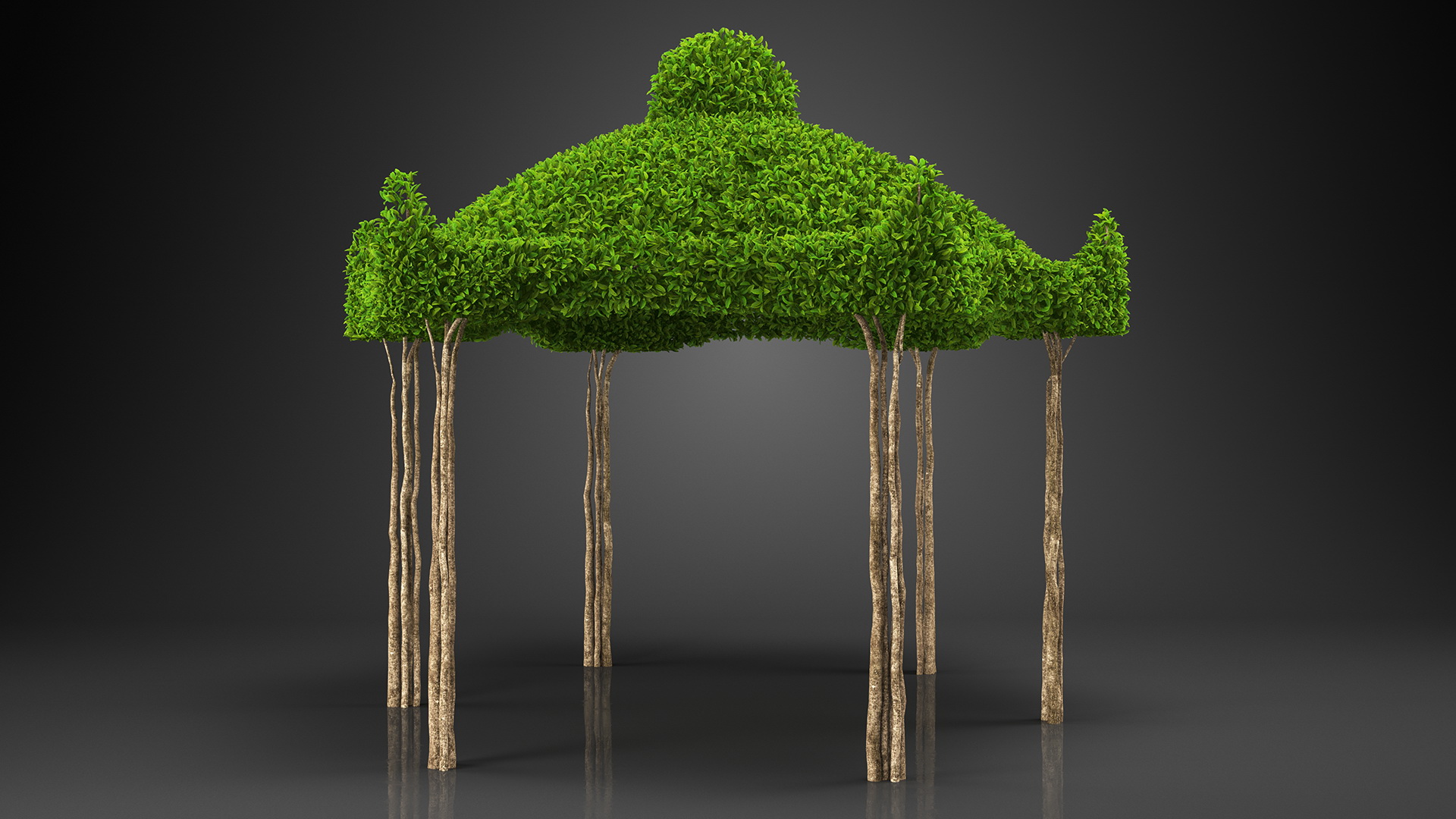 3D Garden Twig Gazebo model