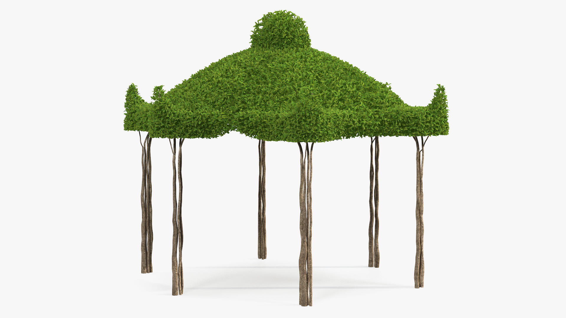 3D Garden Twig Gazebo model