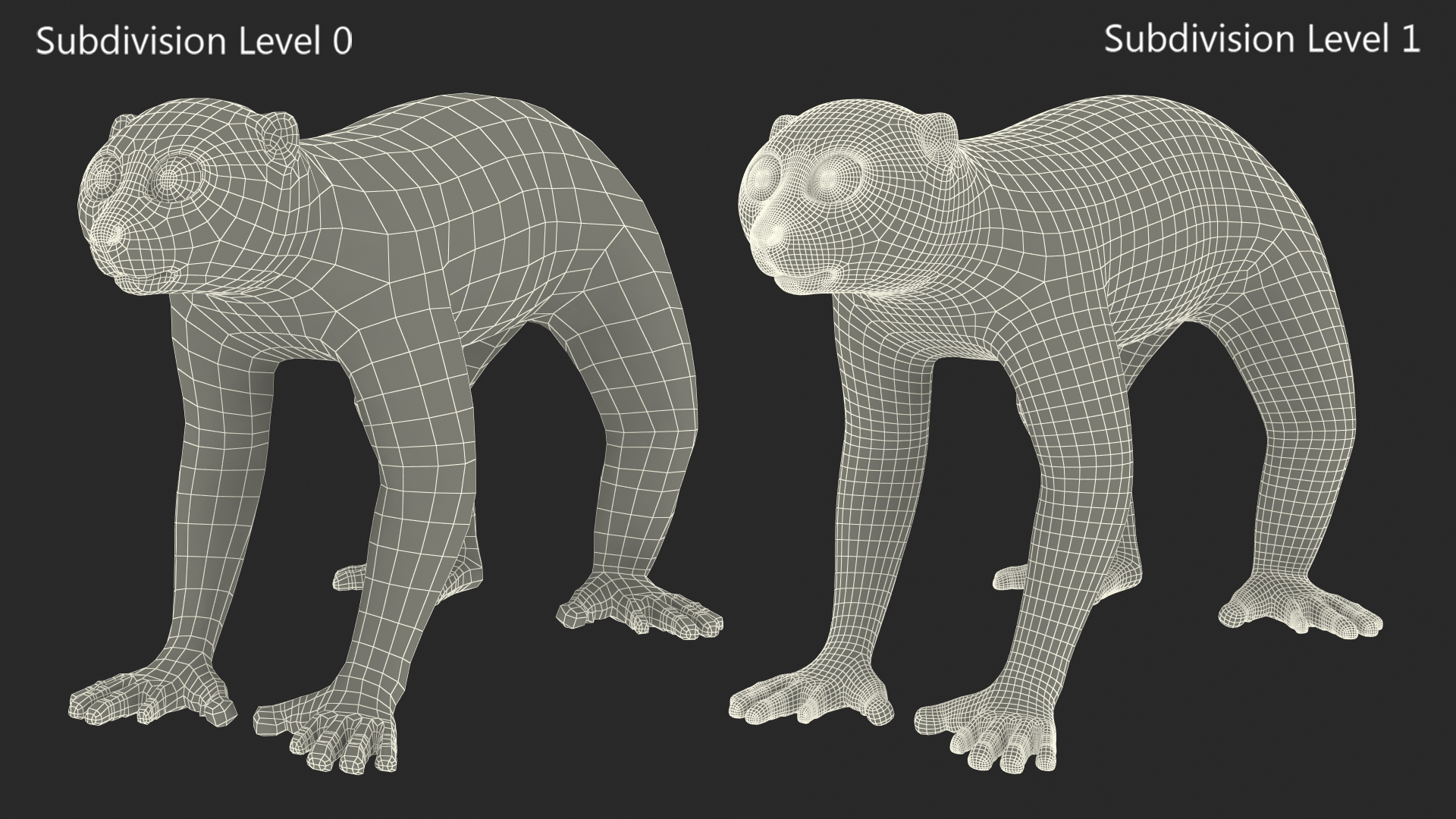 3D Lemur Javan Slow Loris Fur