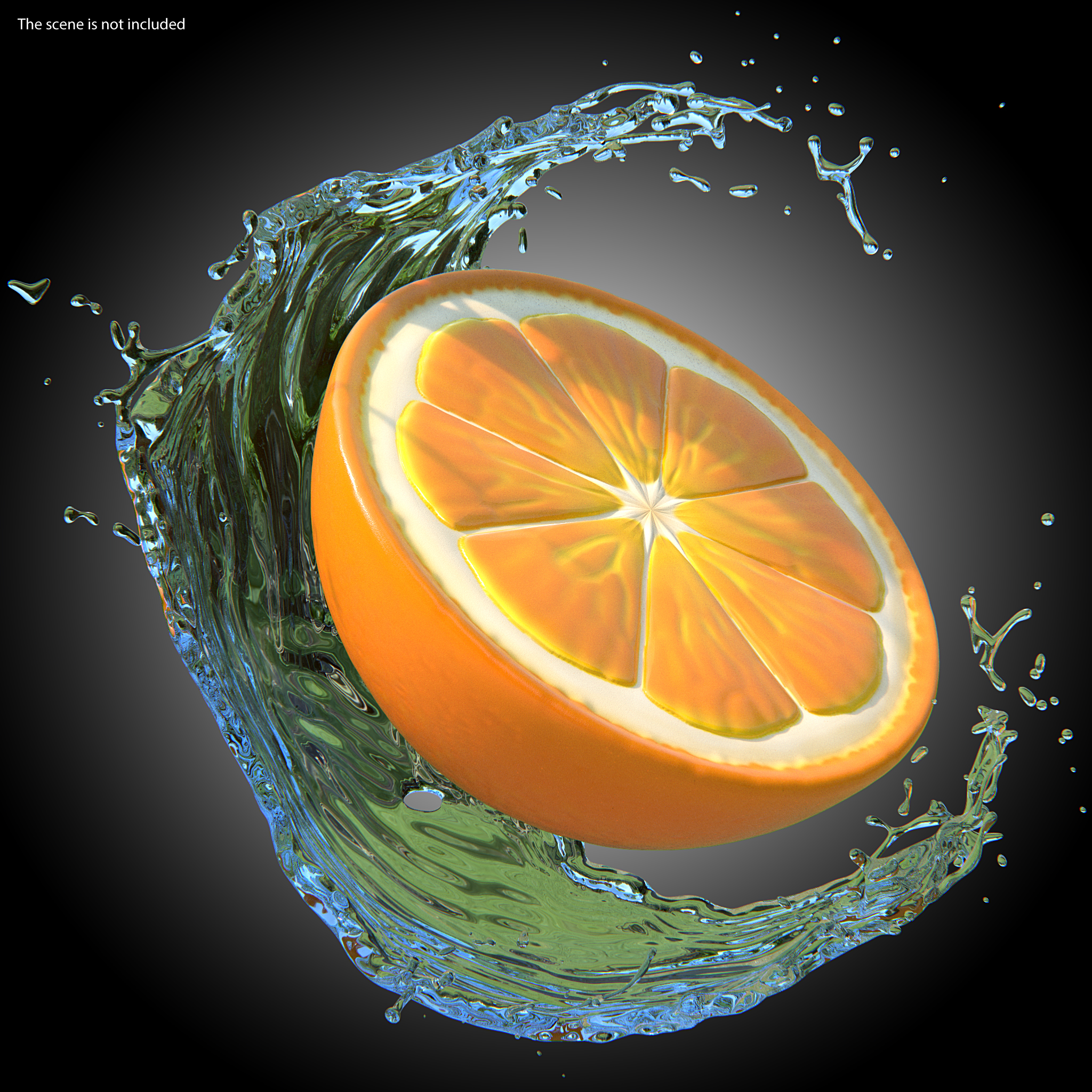 3D Half Fresh Orange Fruit model