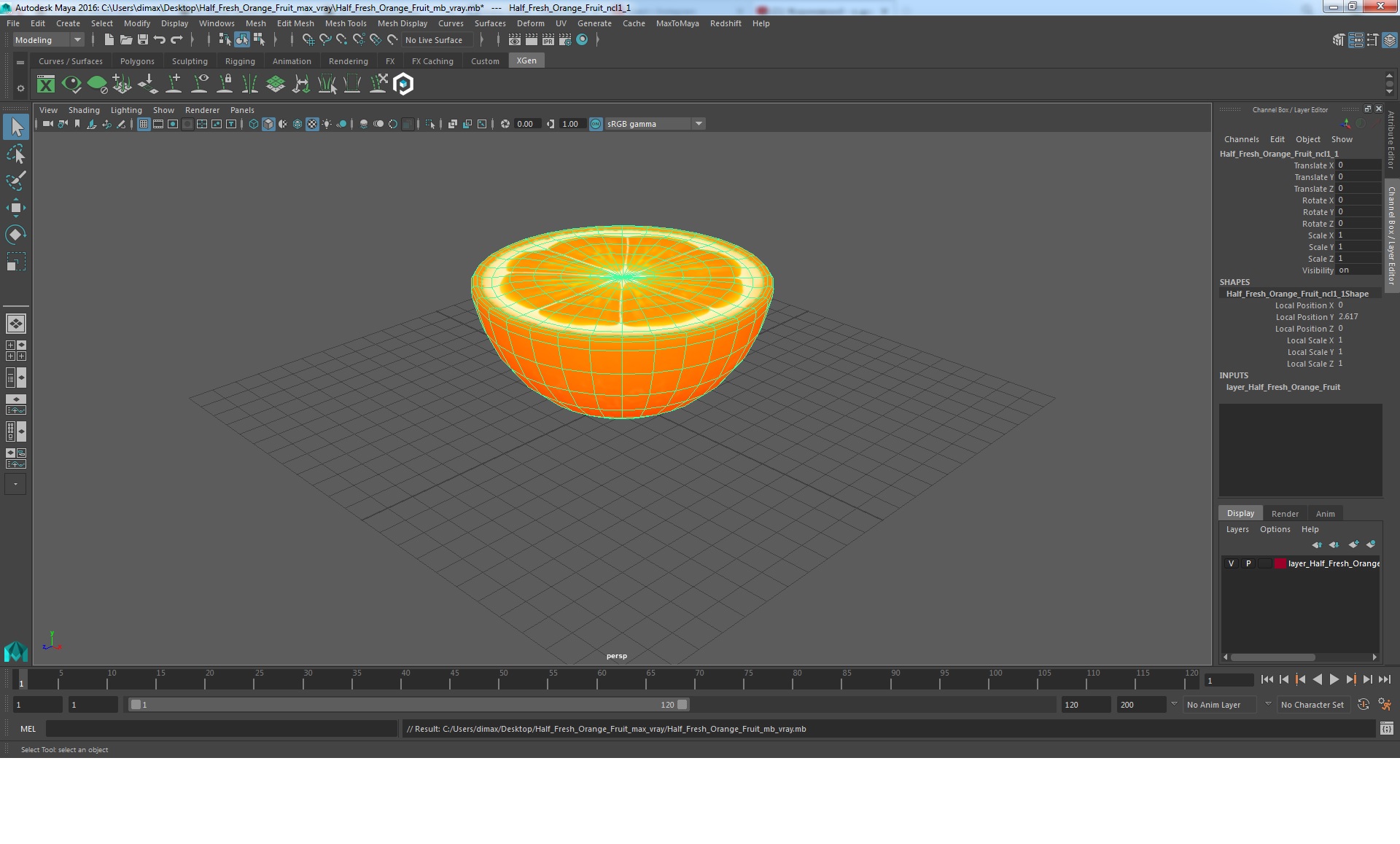 3D Half Fresh Orange Fruit model