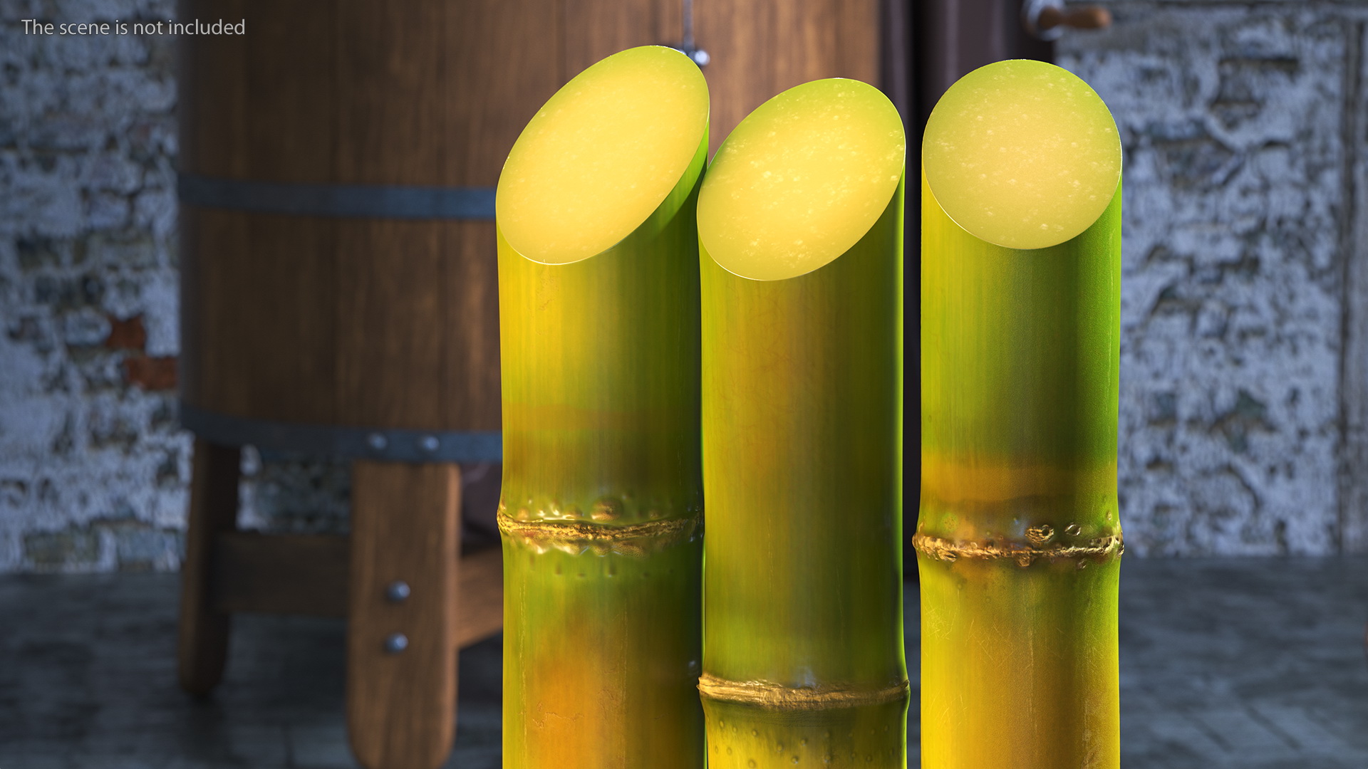 Fresh Sugarcane Sticks 3D