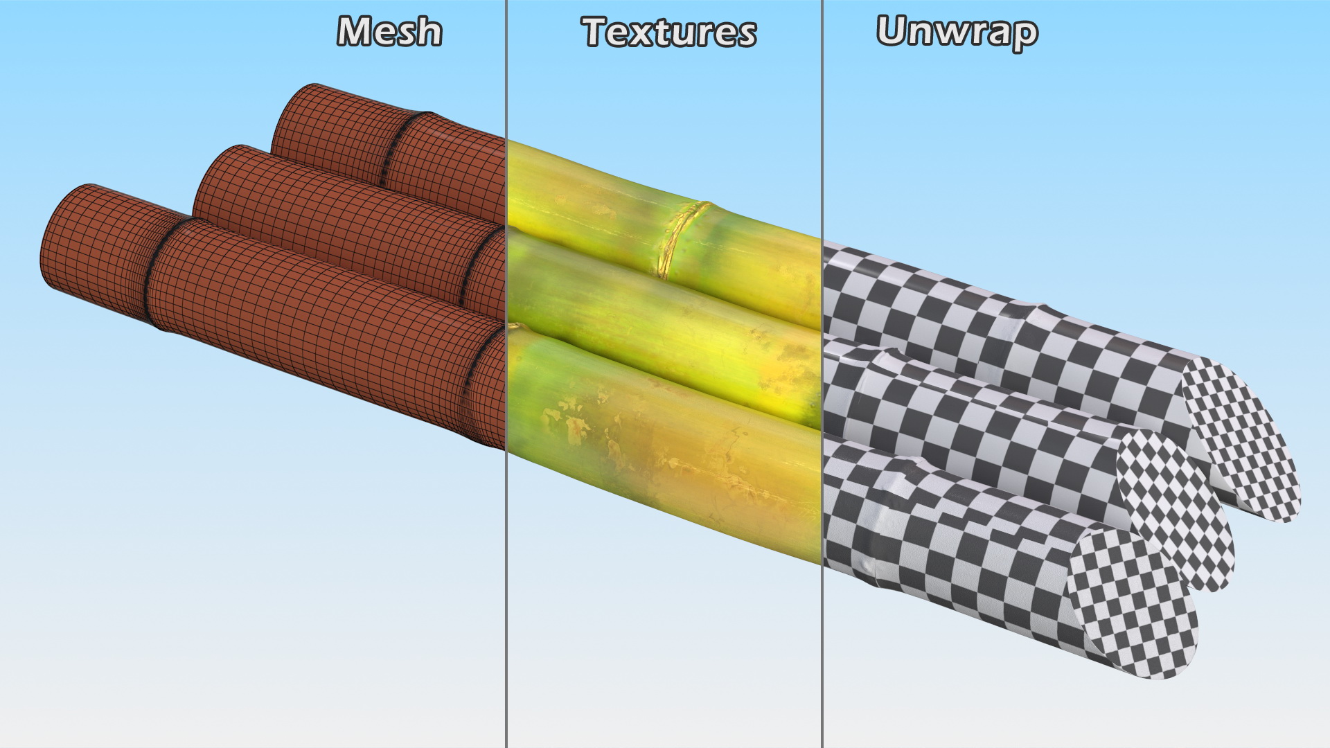 Fresh Sugarcane Sticks 3D