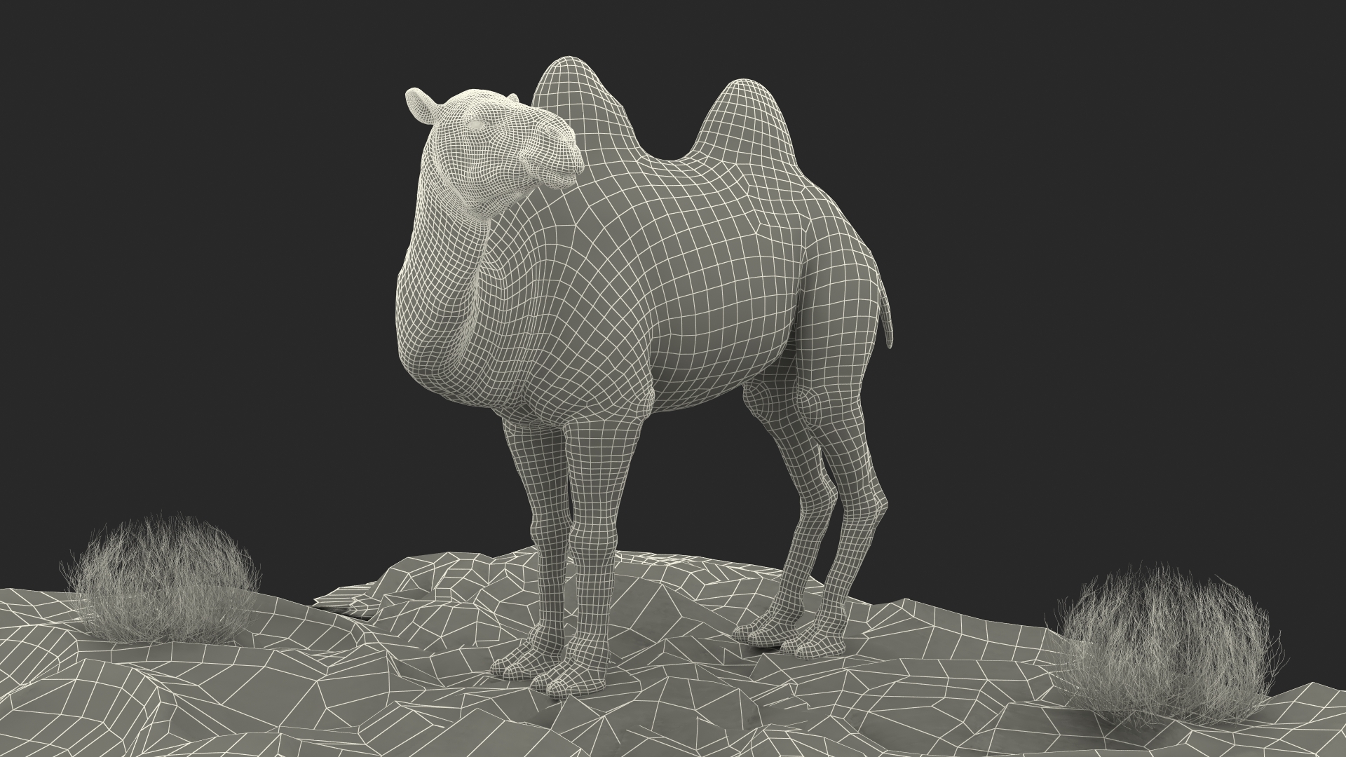 3D Bactrian Camel on Desert Sand Fur model