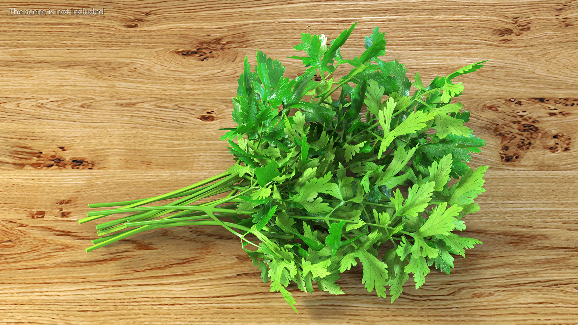 3D Fresh Parsley Leaves Bunch