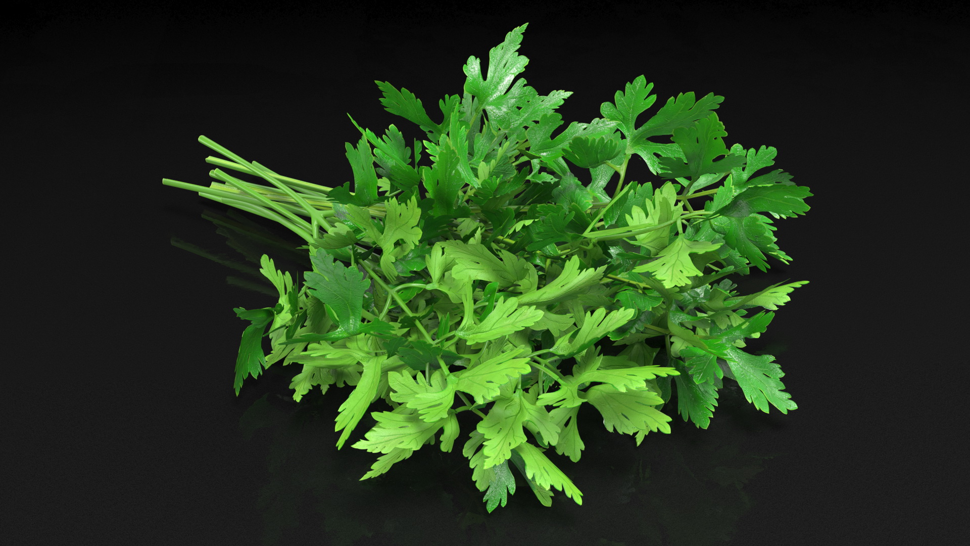 3D Fresh Parsley Leaves Bunch