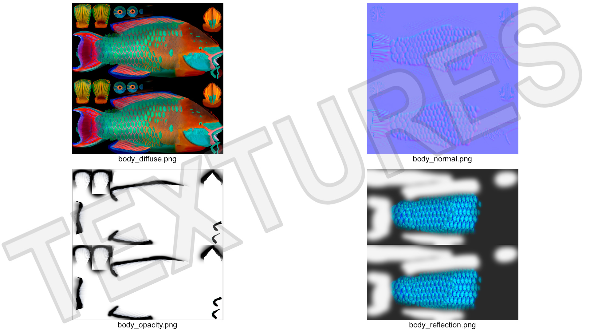 3D Tropical Parrotfish Rigged