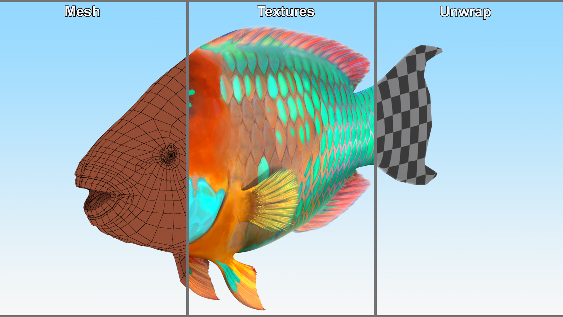 3D Tropical Parrotfish Rigged