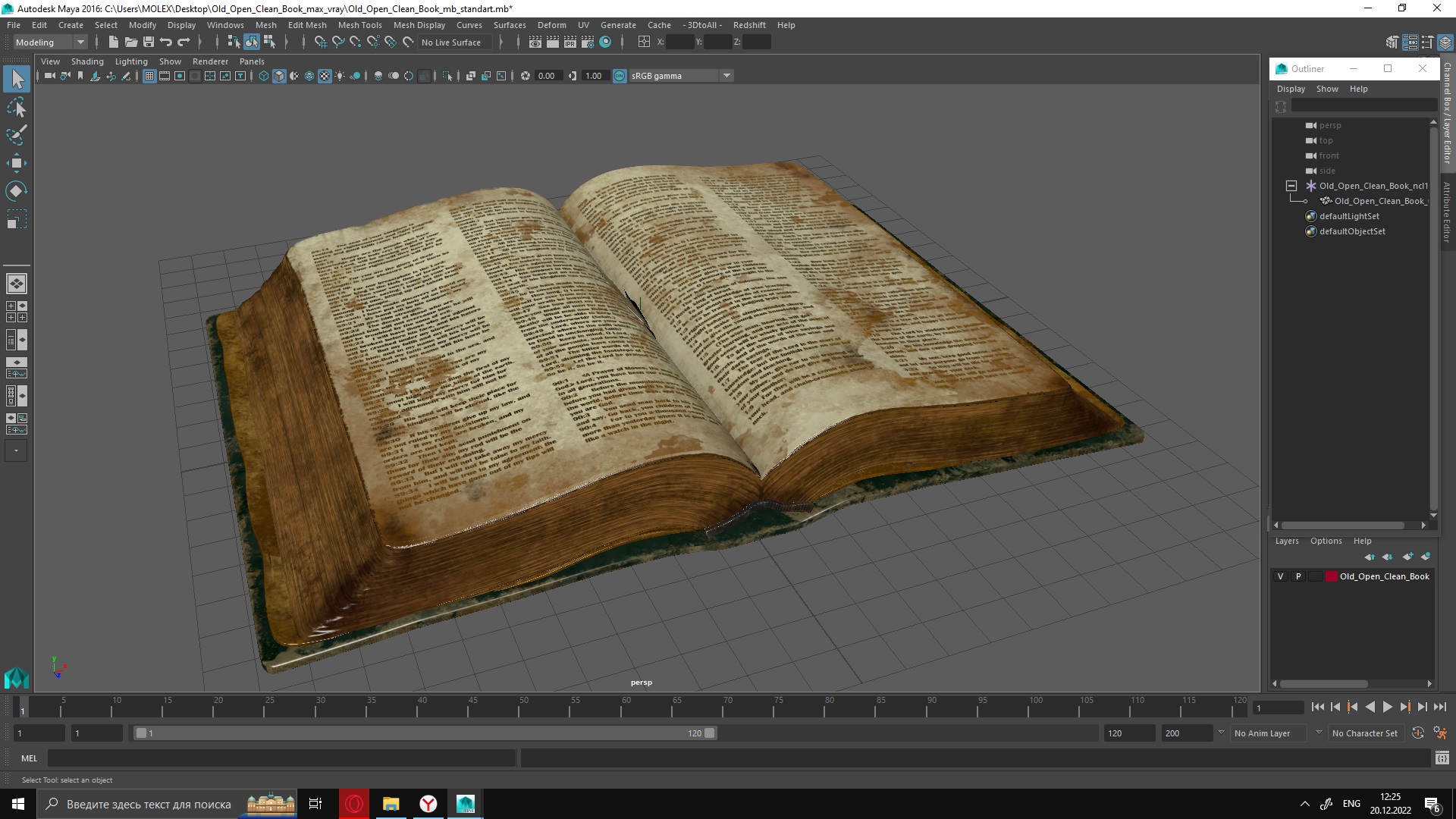 Old Open Clean Book 3D model