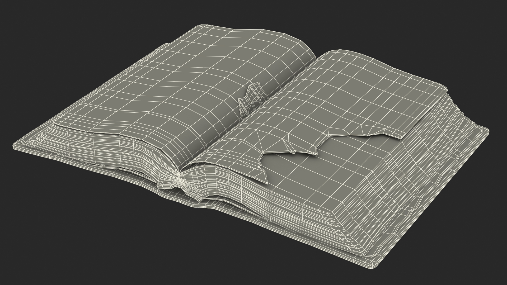 Old Open Clean Book 3D model